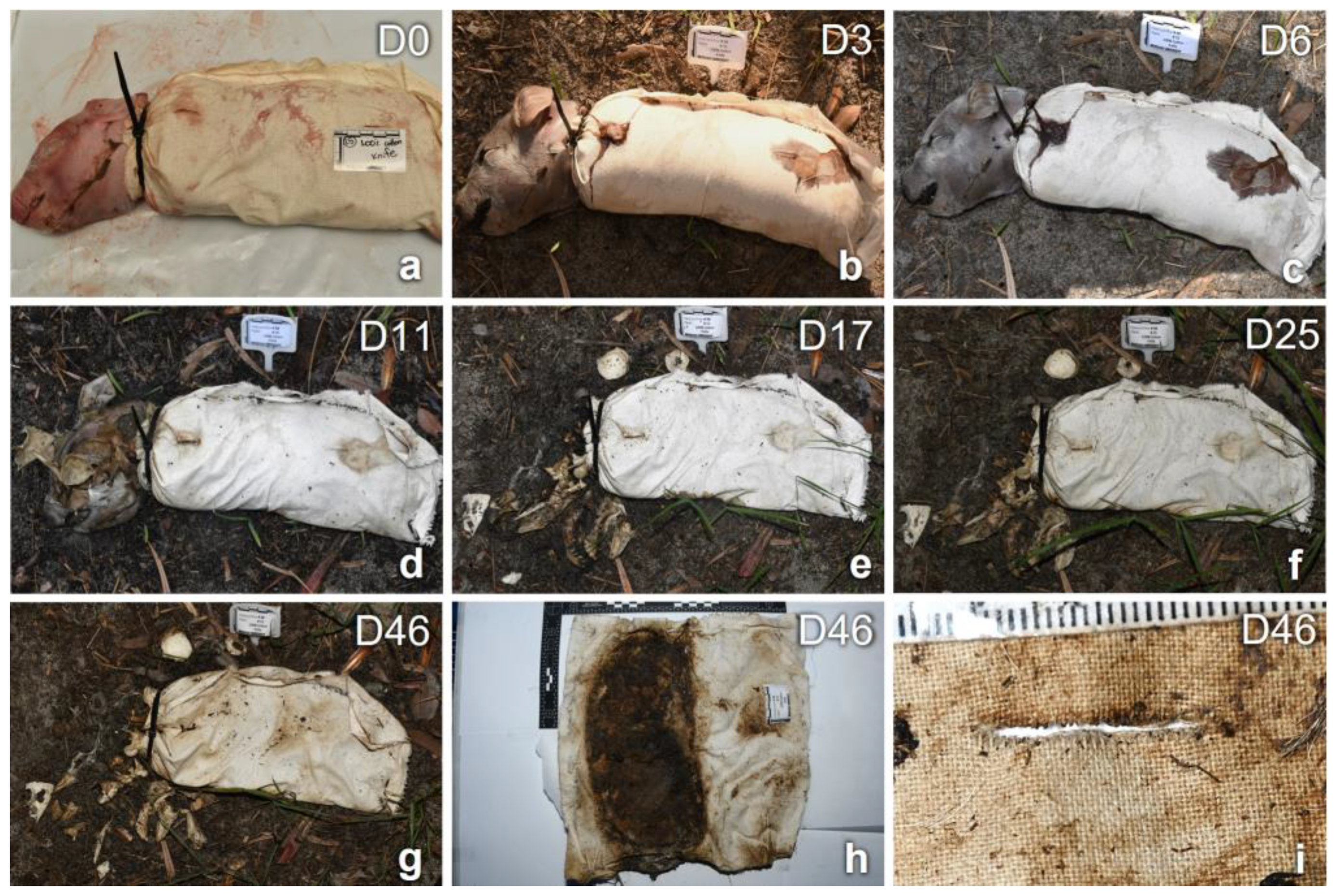 Insects 14 00618 g003