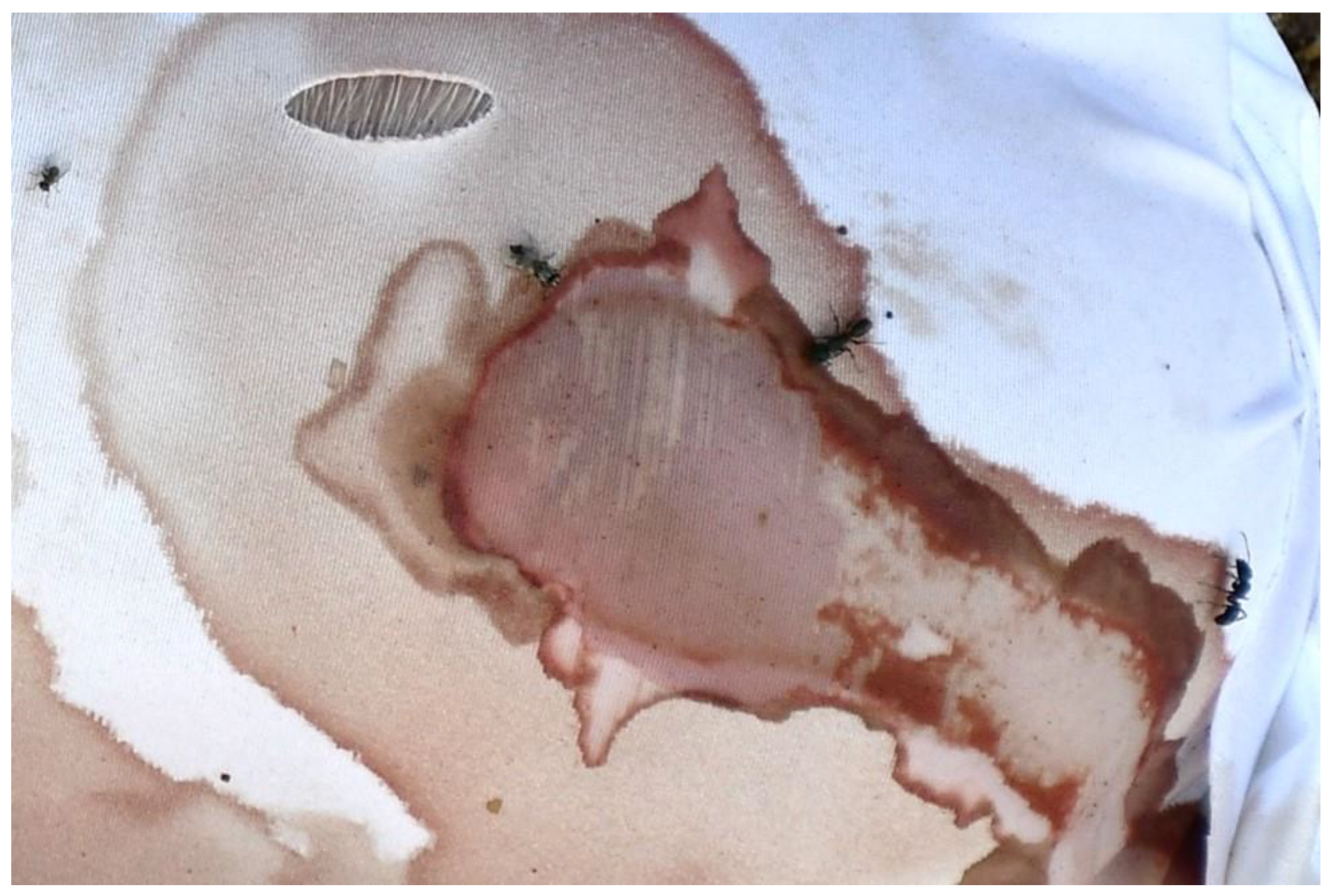 Insects 14 00618 g004