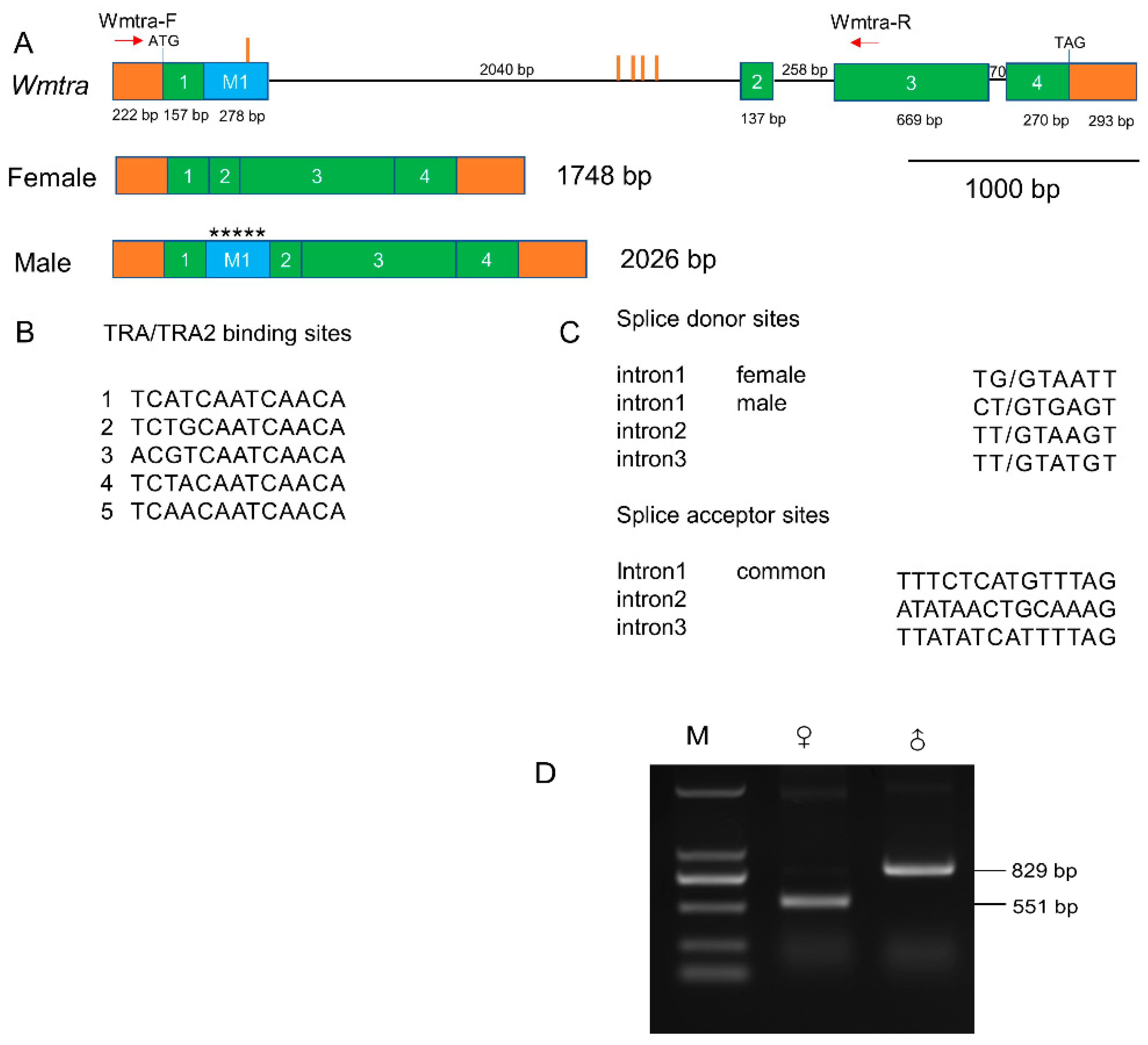 Insects 14 00620 g001