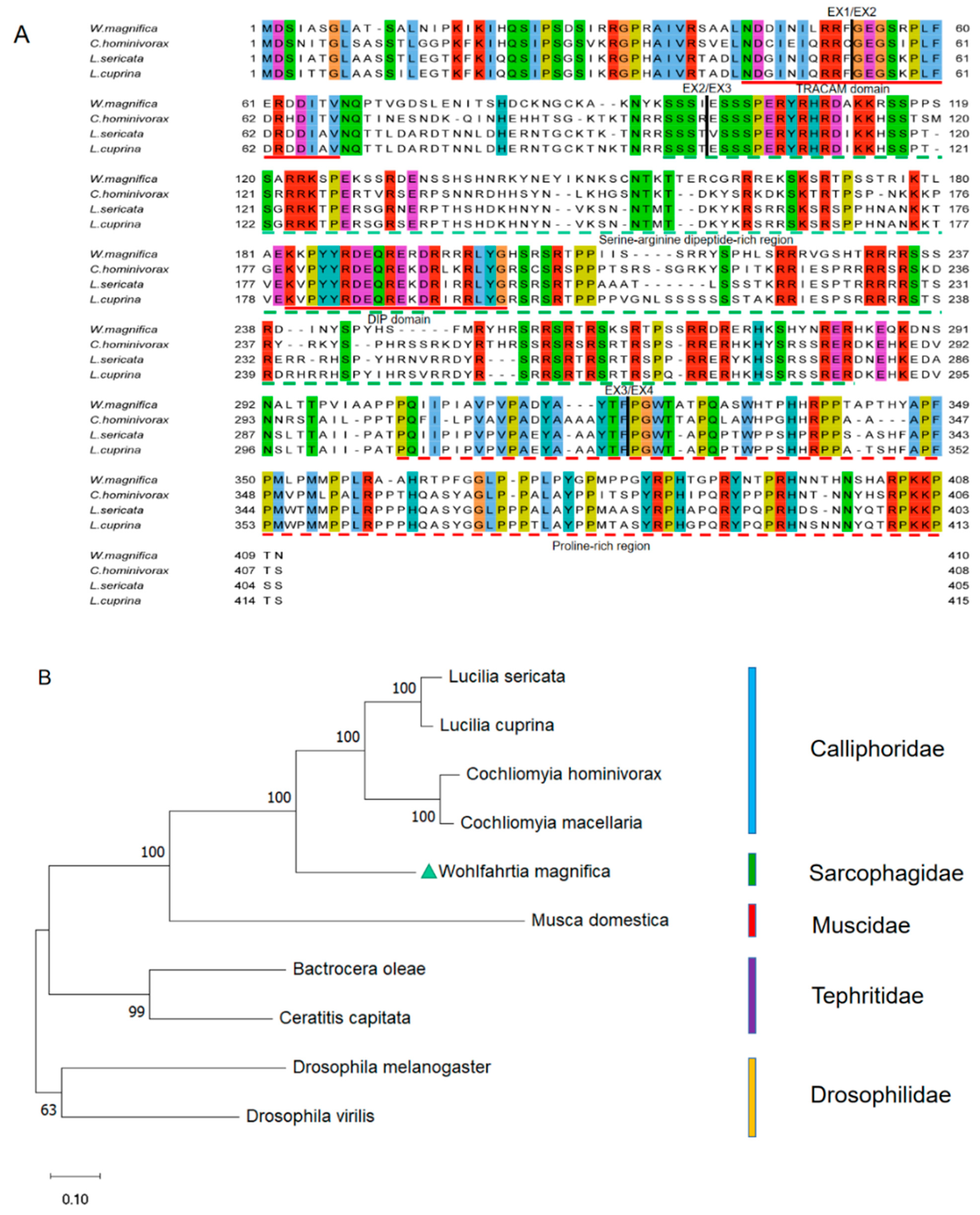 Insects 14 00620 g002