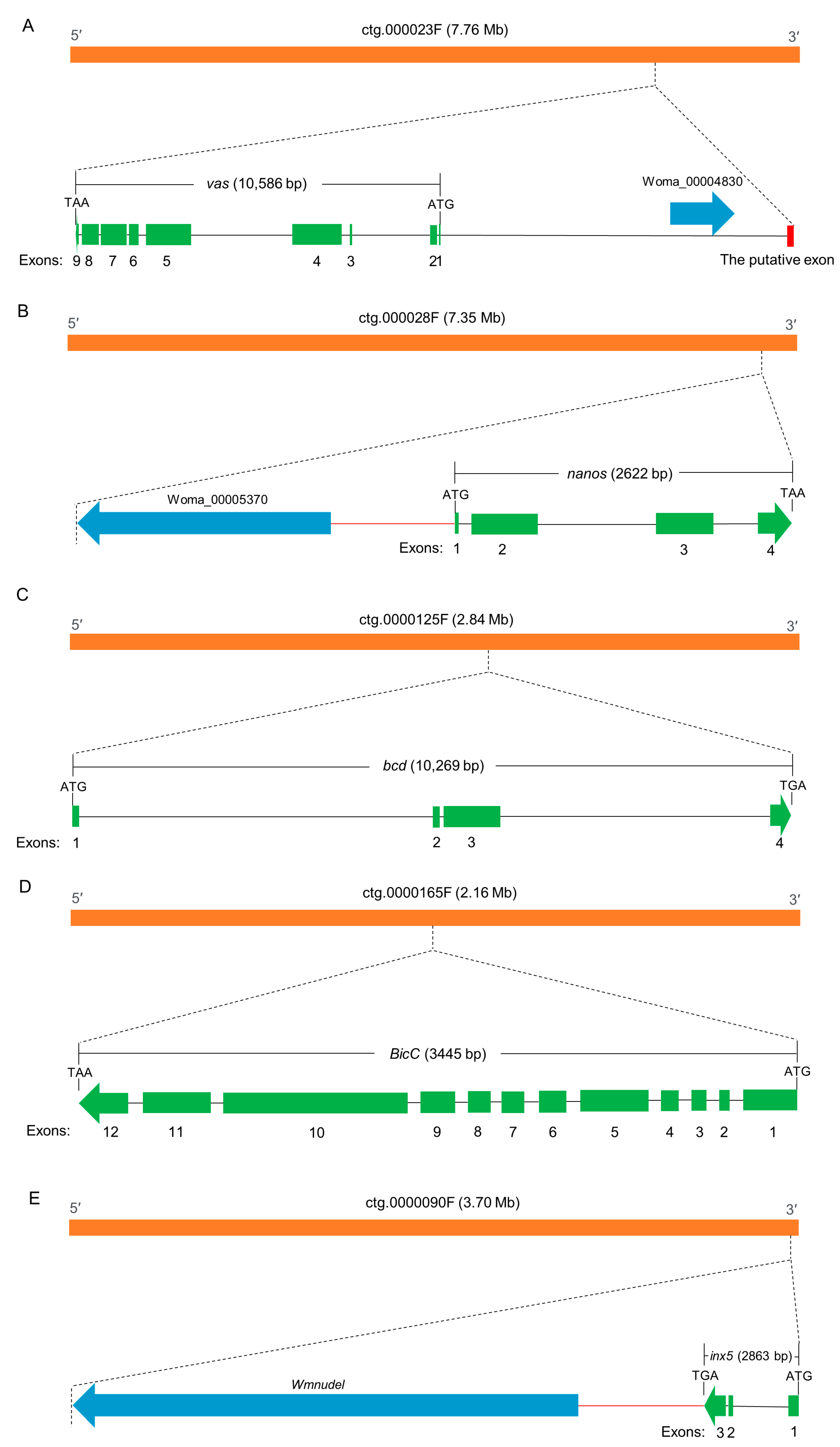 Insects 14 00620 g007