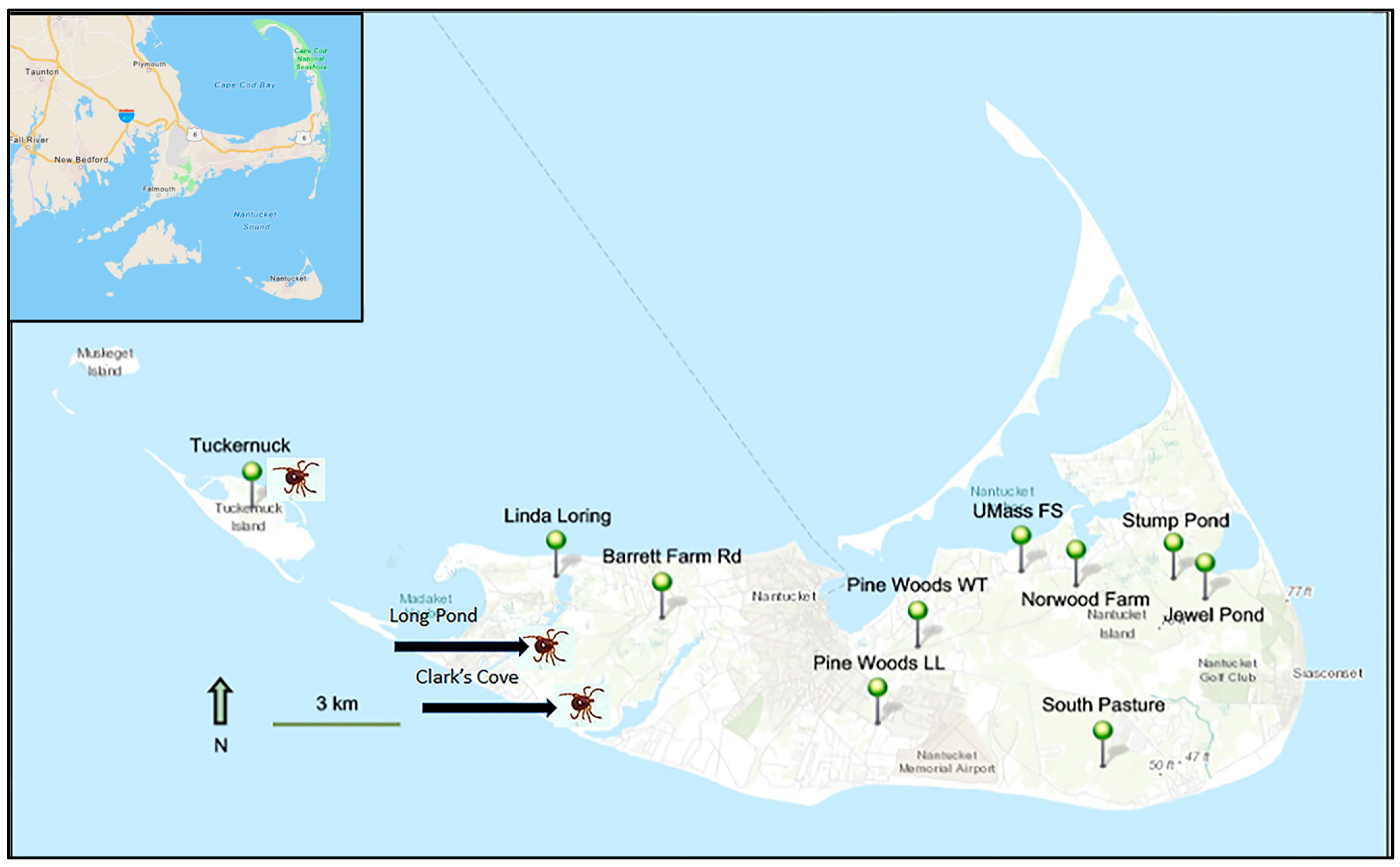 Insects 14 00628 g001