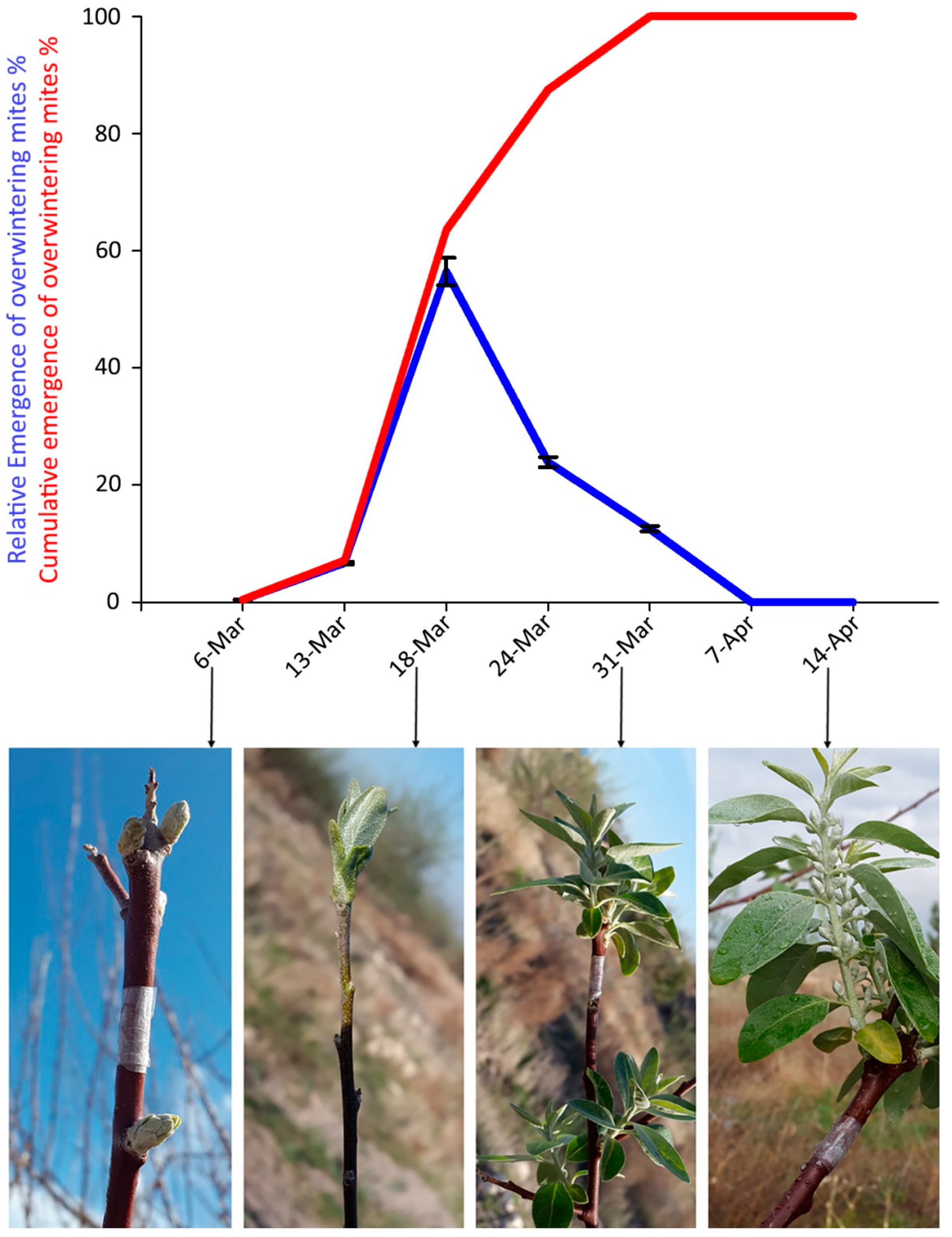 Insects 14 00633 g005 Insects 14 00633 g005