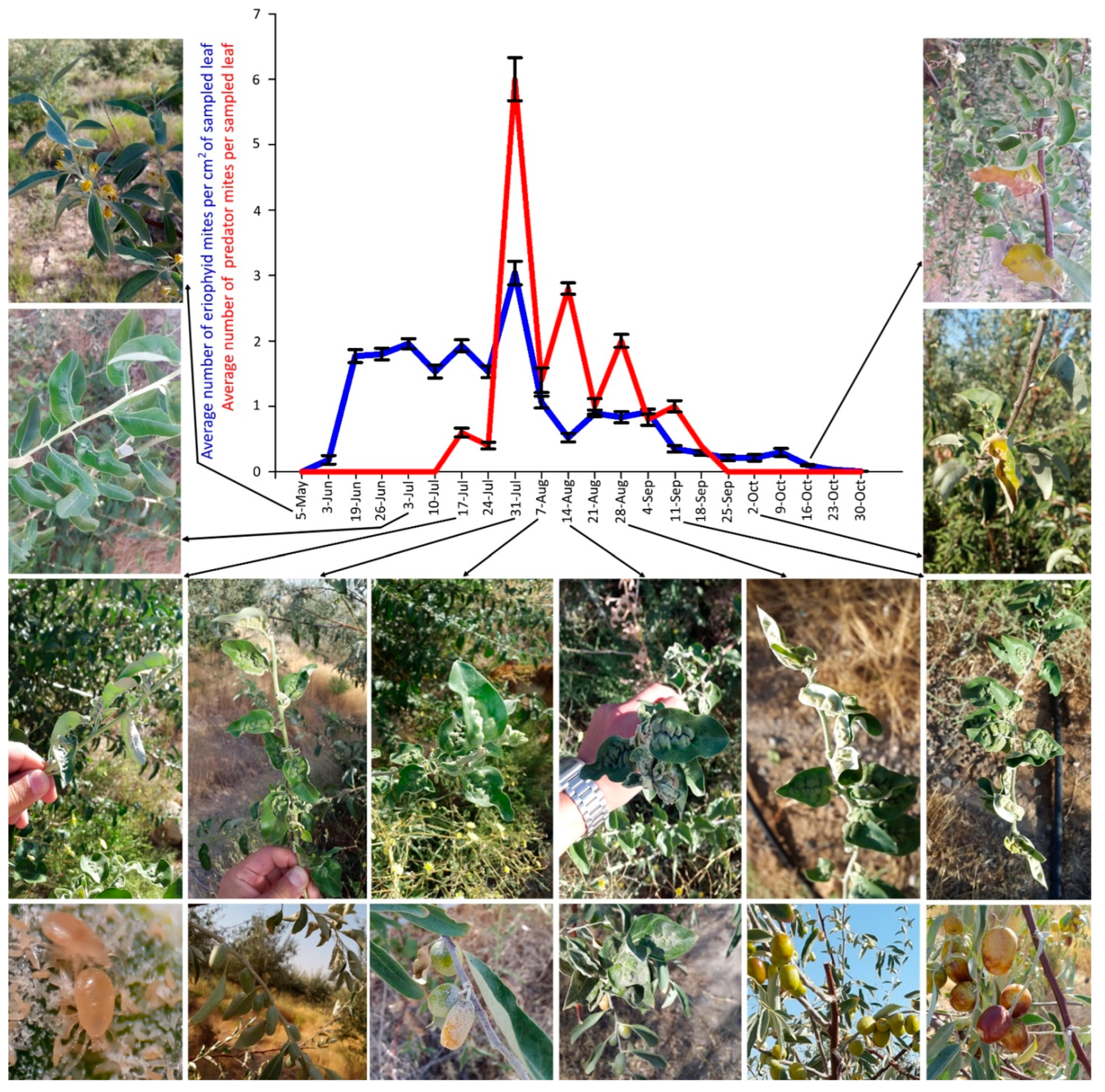 Insects 14 00633 g007 Insects 14 00633 g007