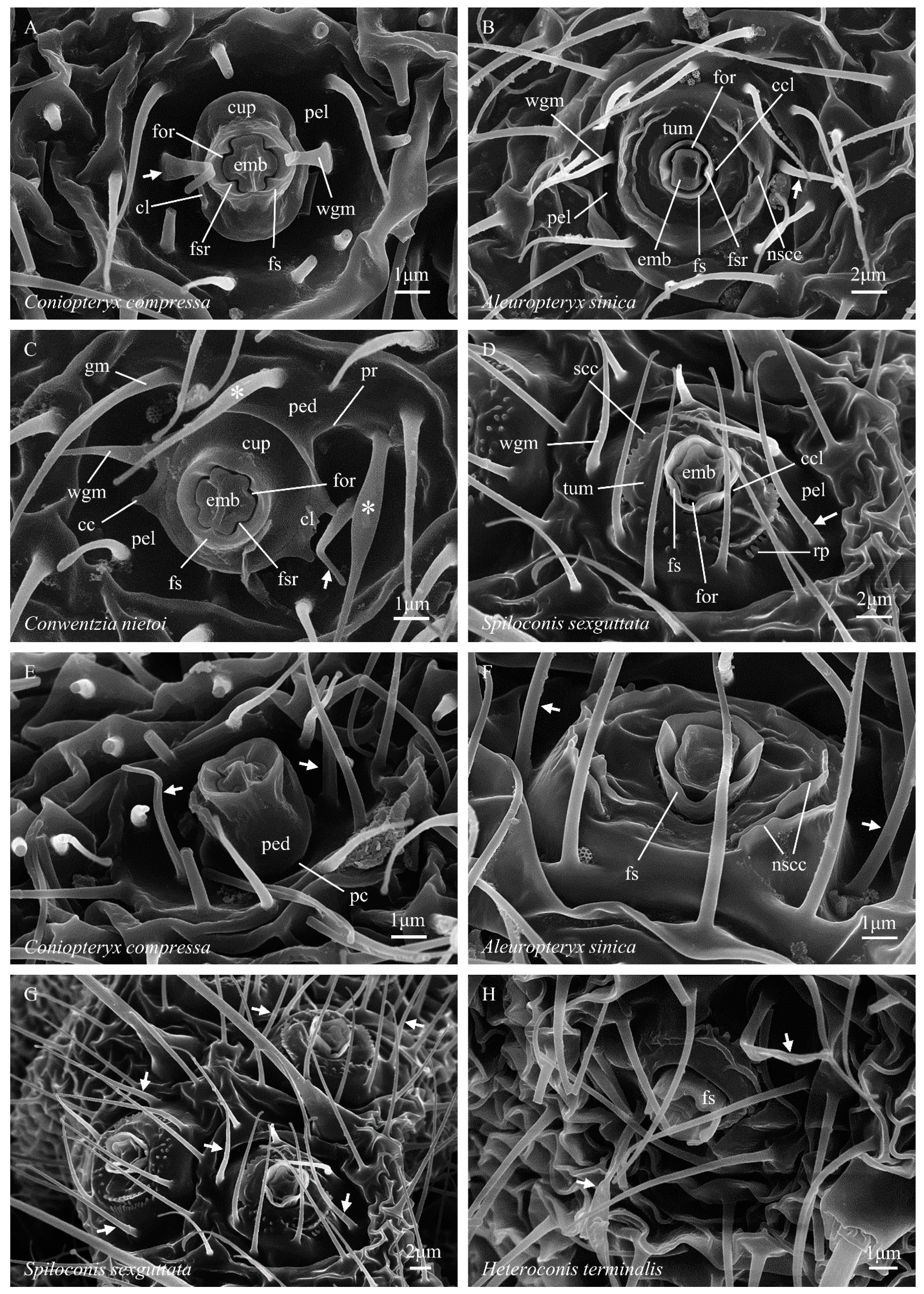 Insects 14 00650 g001