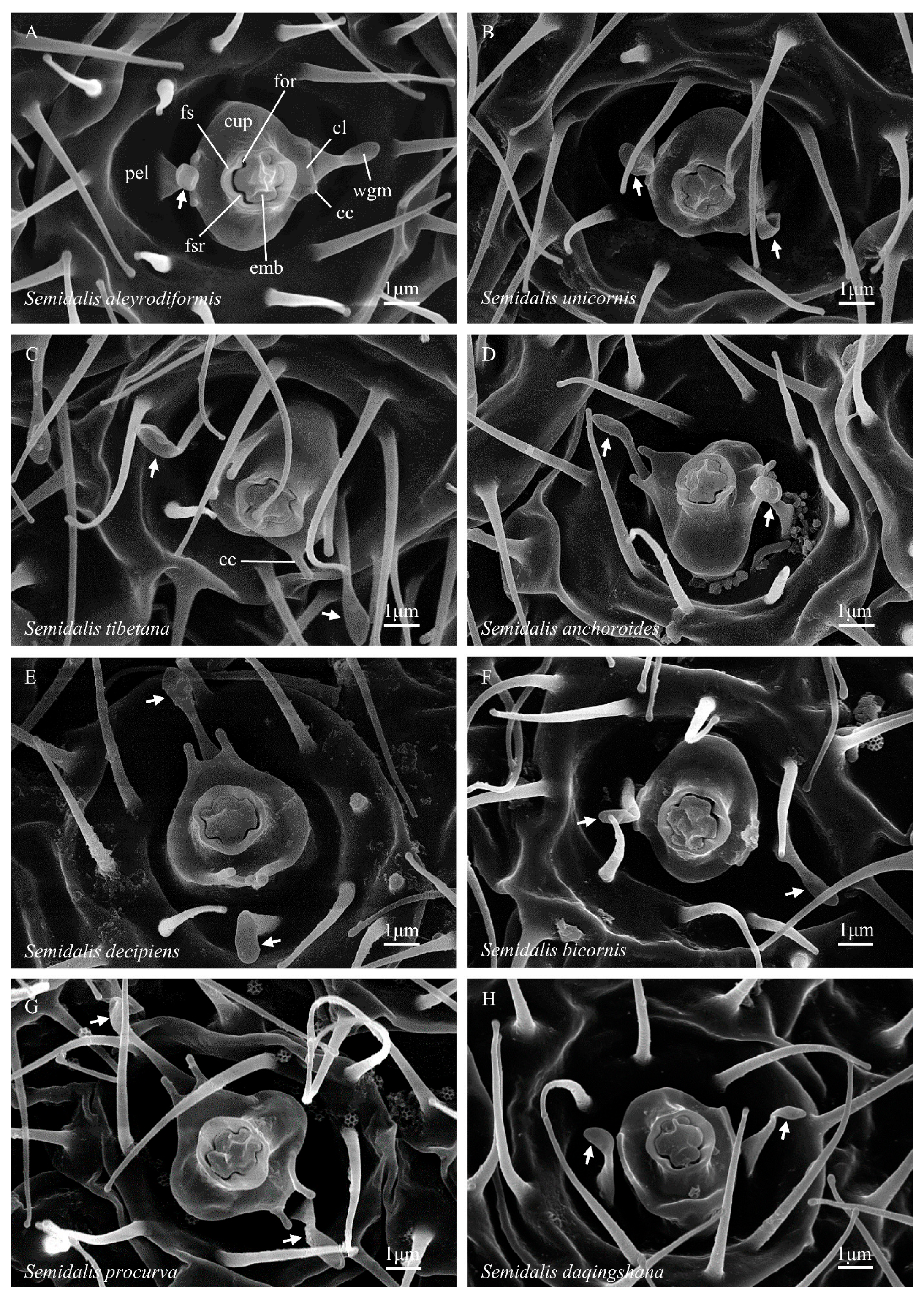 Insects 14 00650 g002
