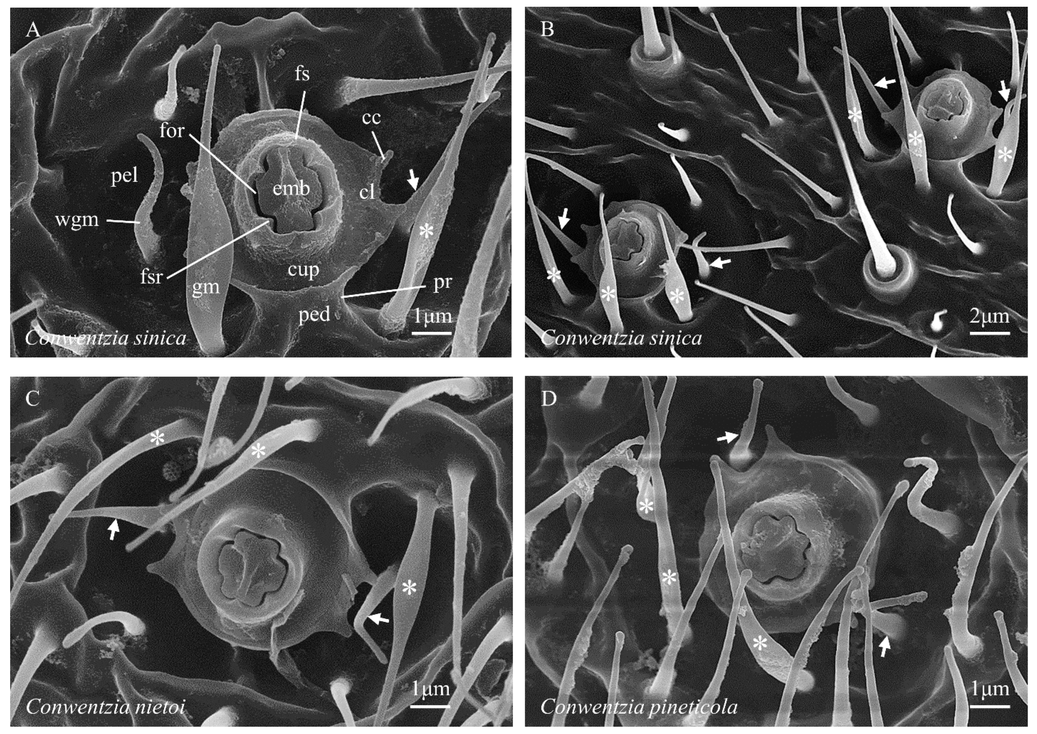 Insects 14 00650 g003