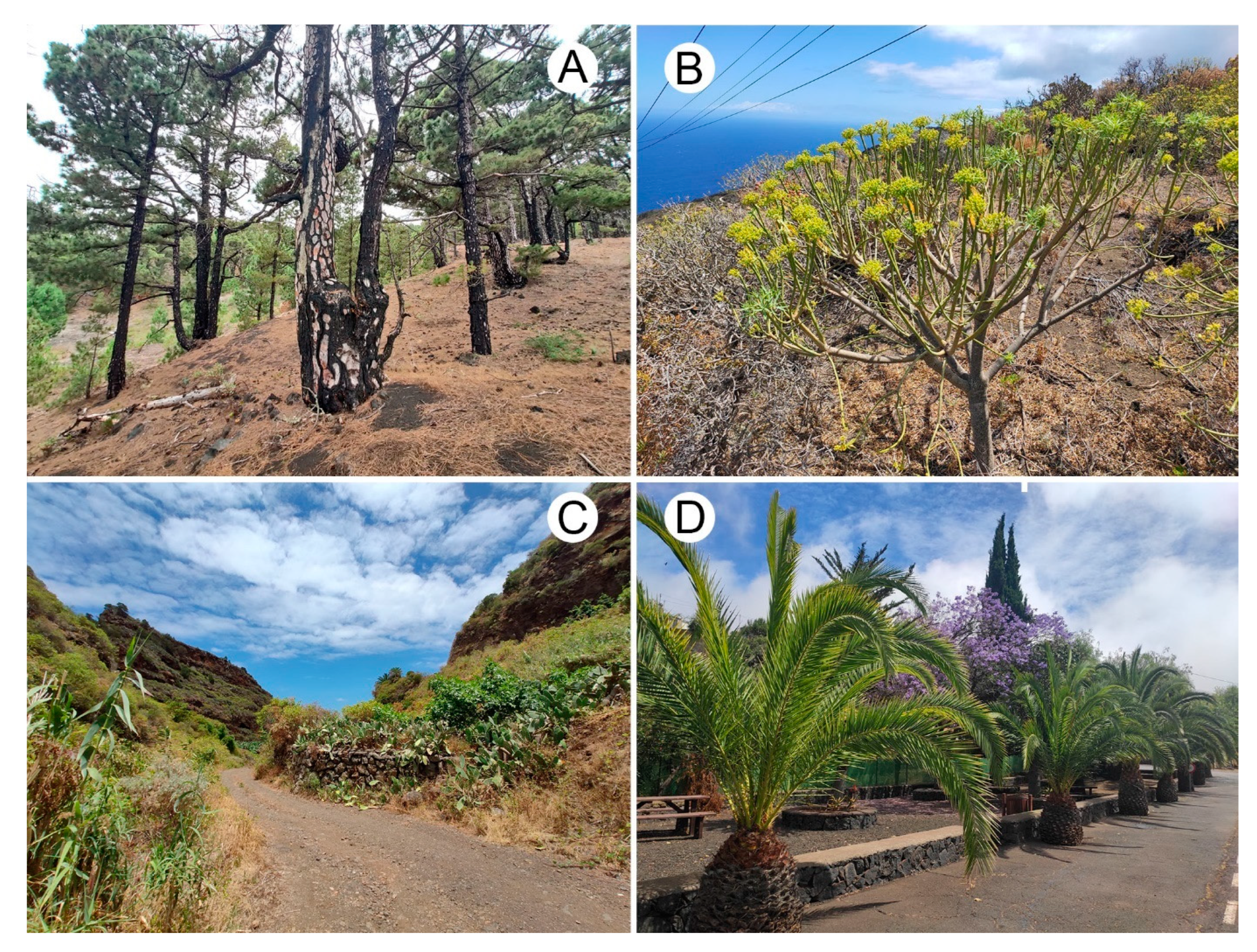 Insects 14 00655 g001