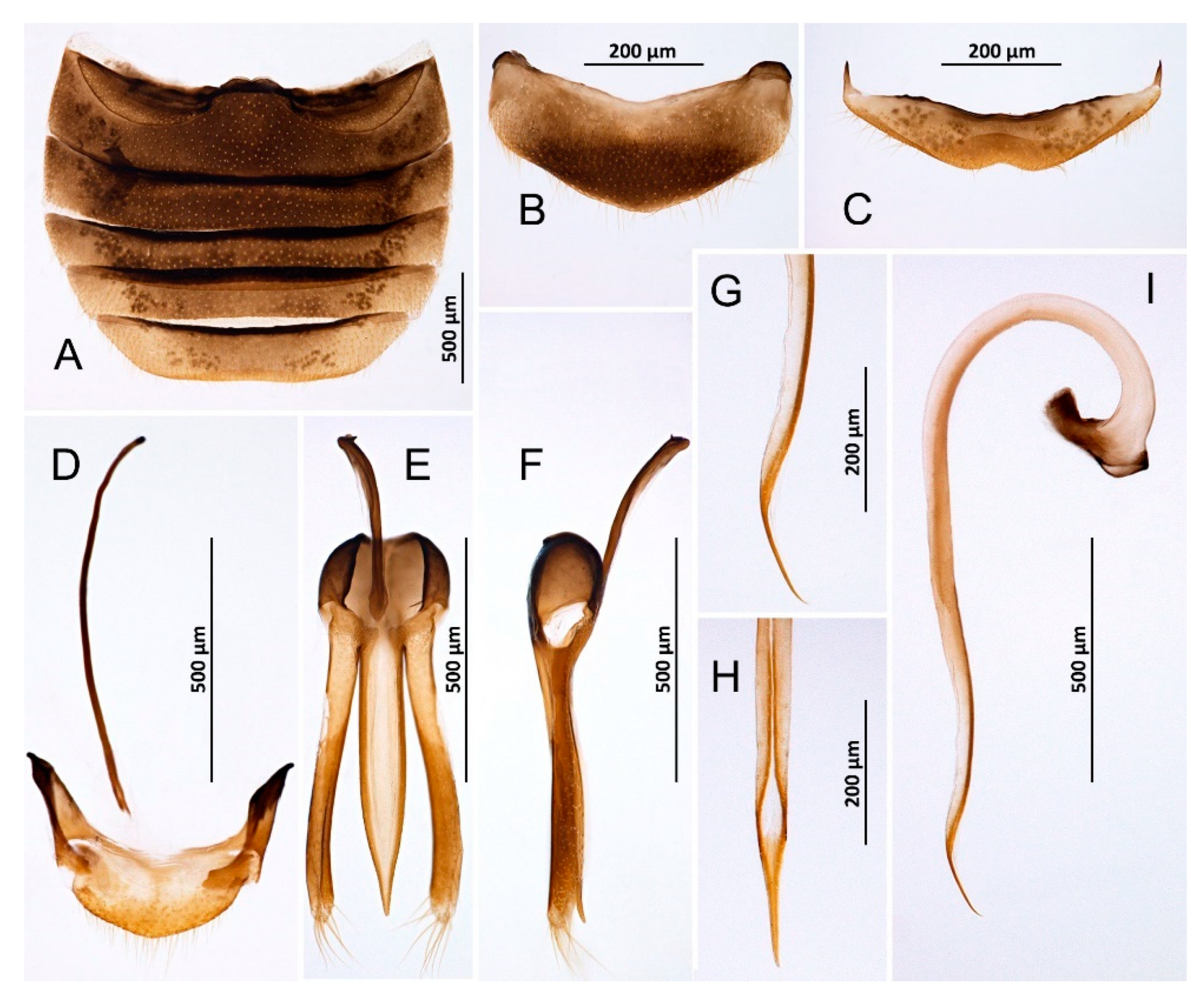 Insects 14 00655 g002