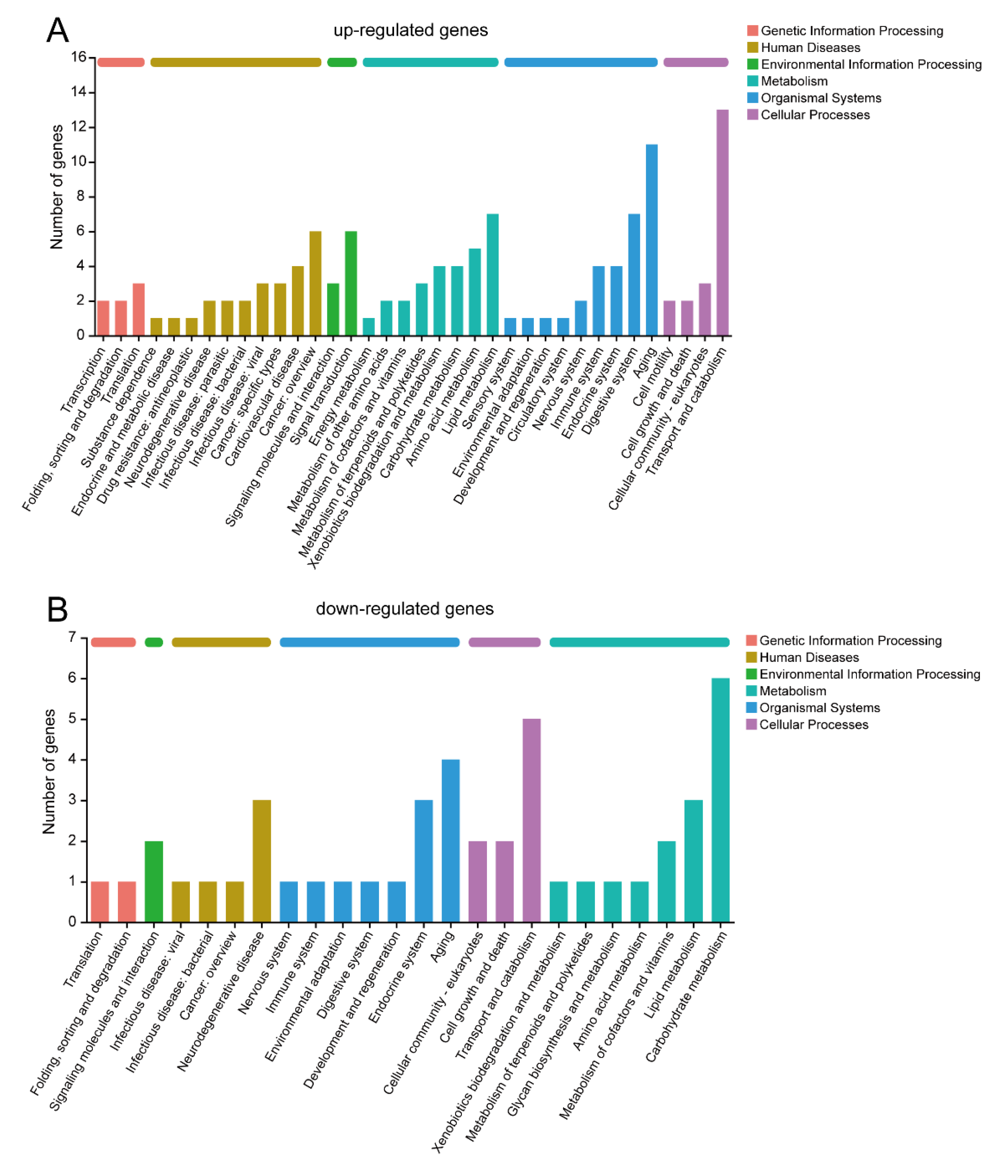 Insects 14 00658 g004