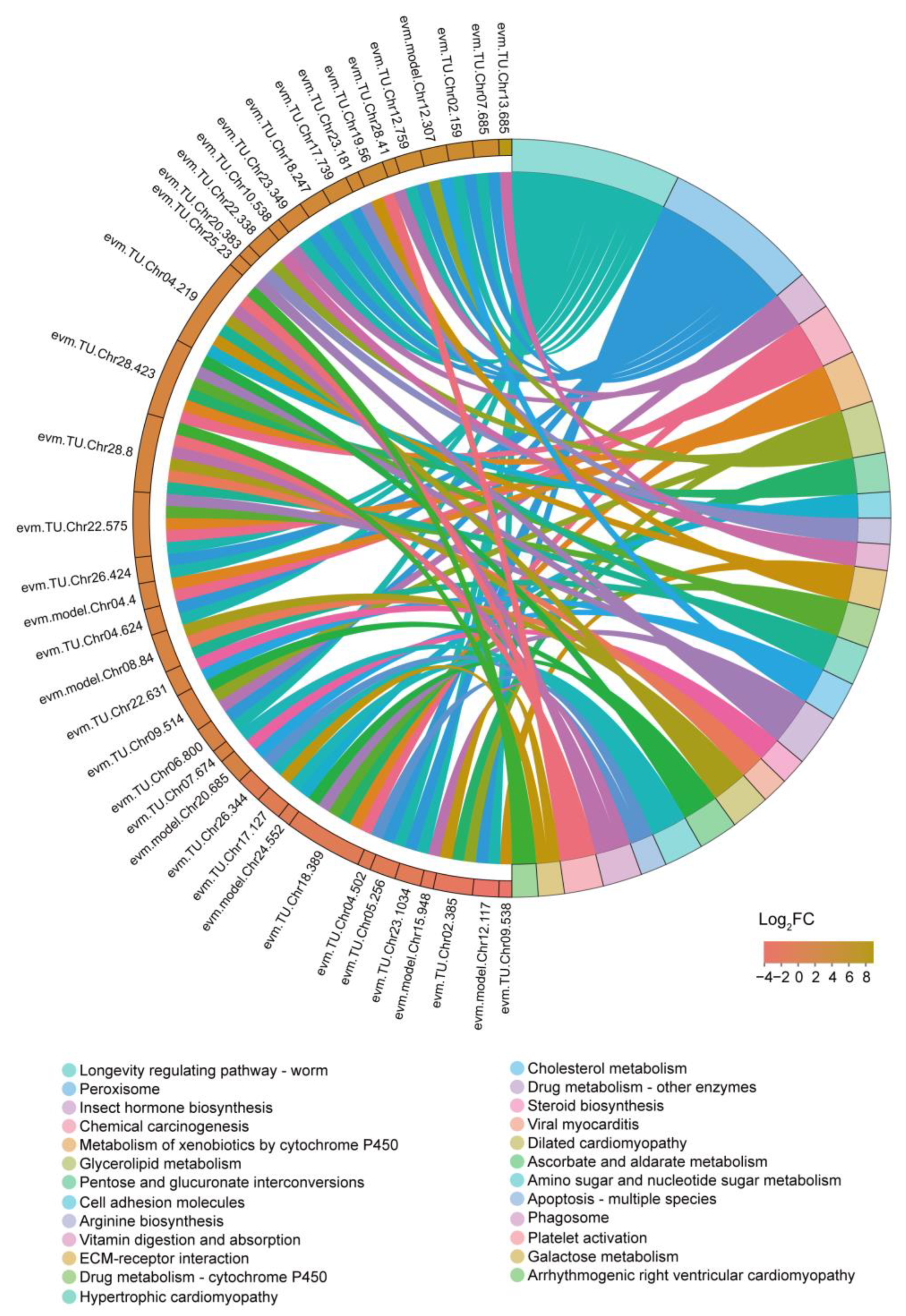 Insects 14 00658 g006