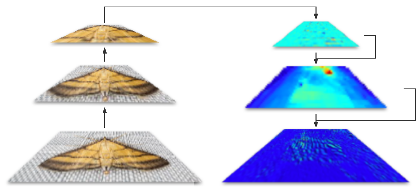 Insects 14 00660 g005