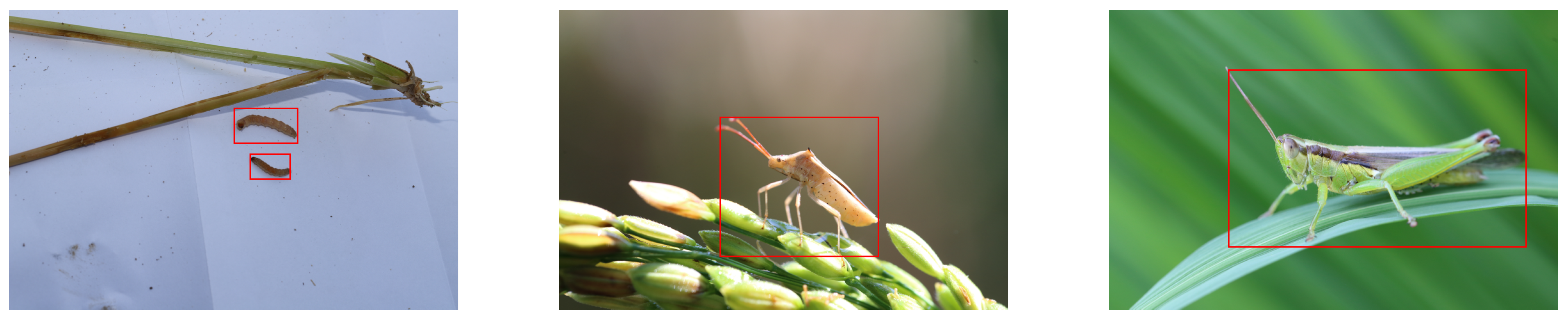 Insects 14 00660 g007