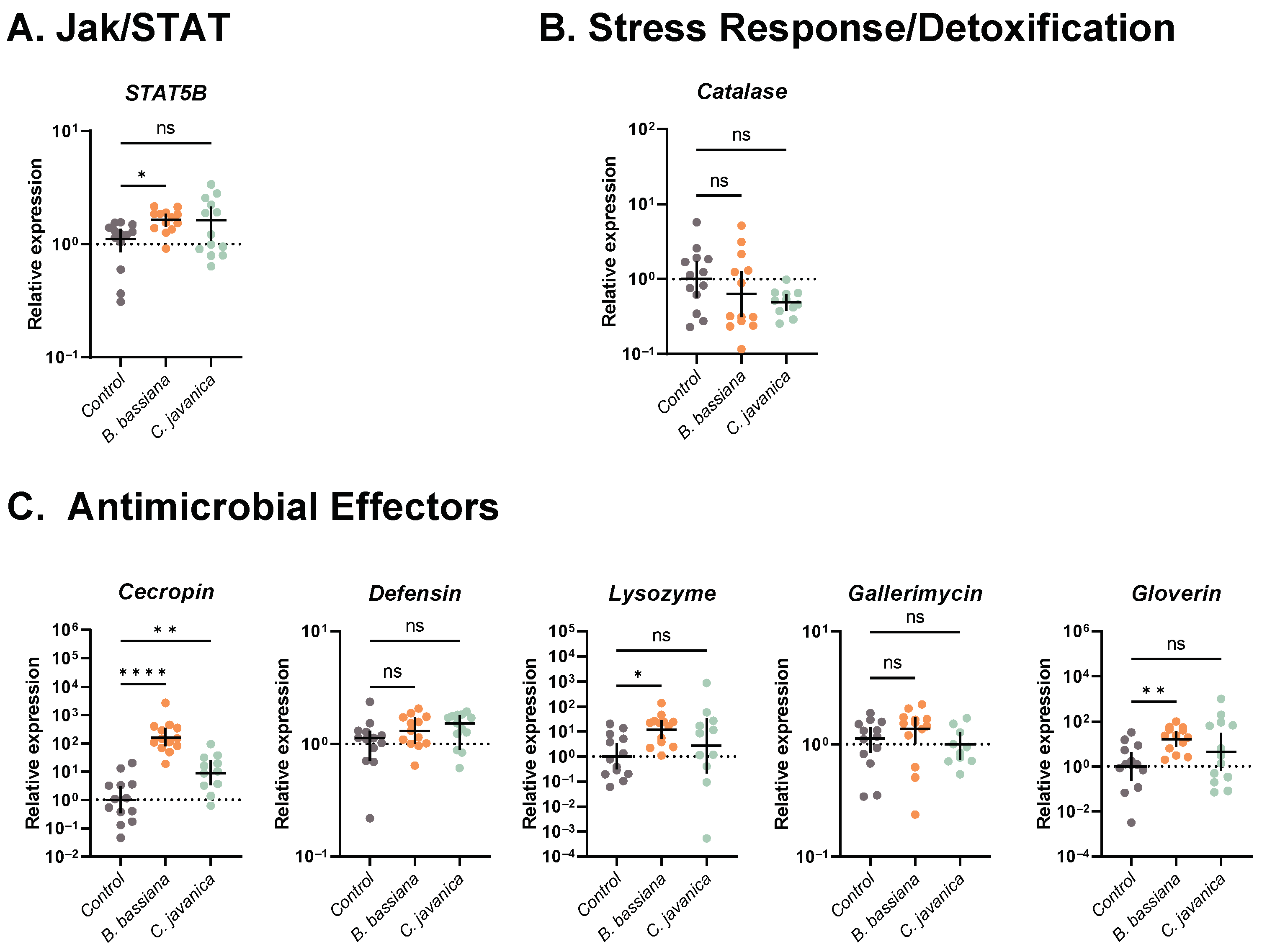 Insects 14 00667 g004 Insects 14 00667 g004