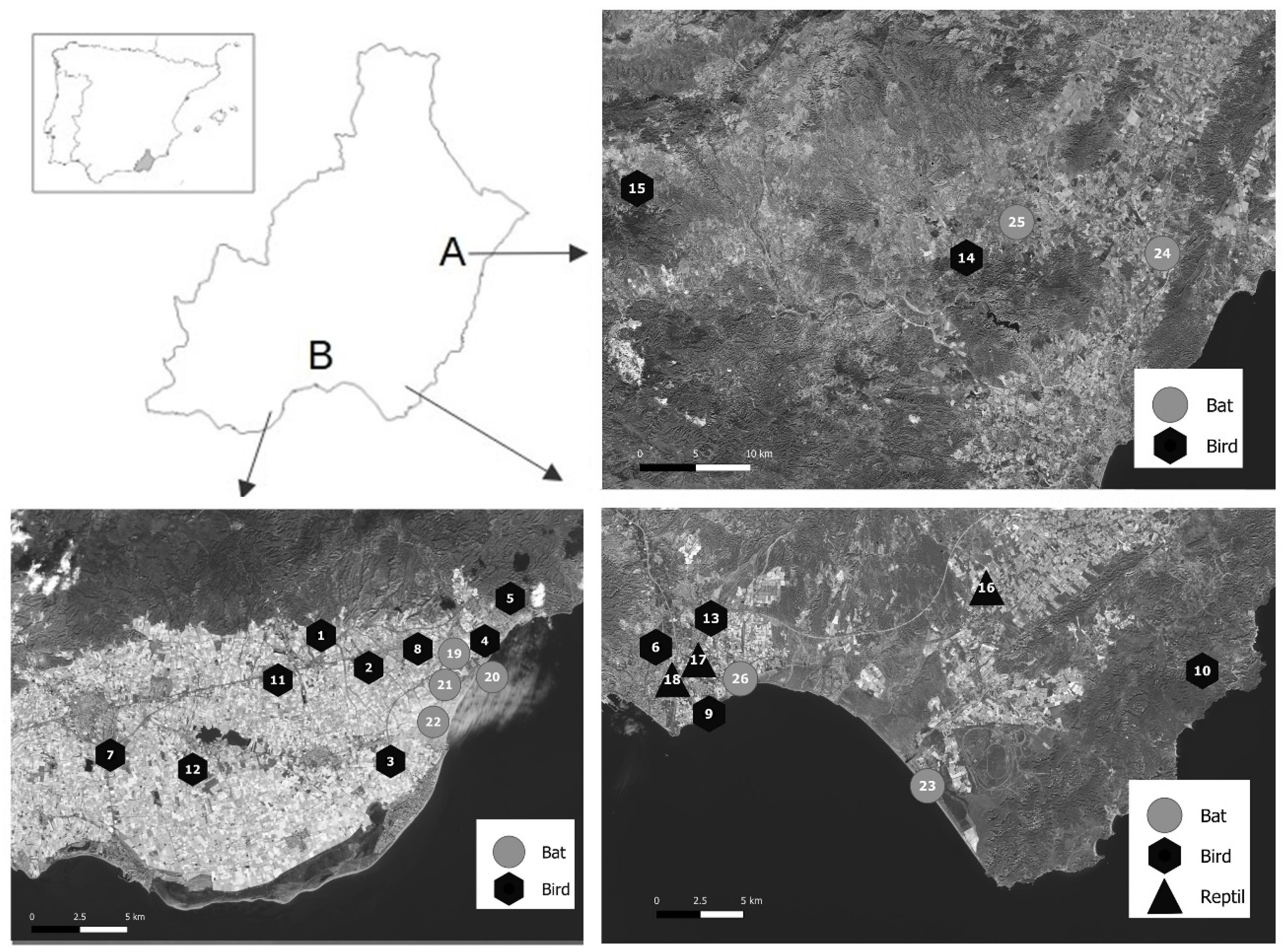 Insects 14 00673 g001