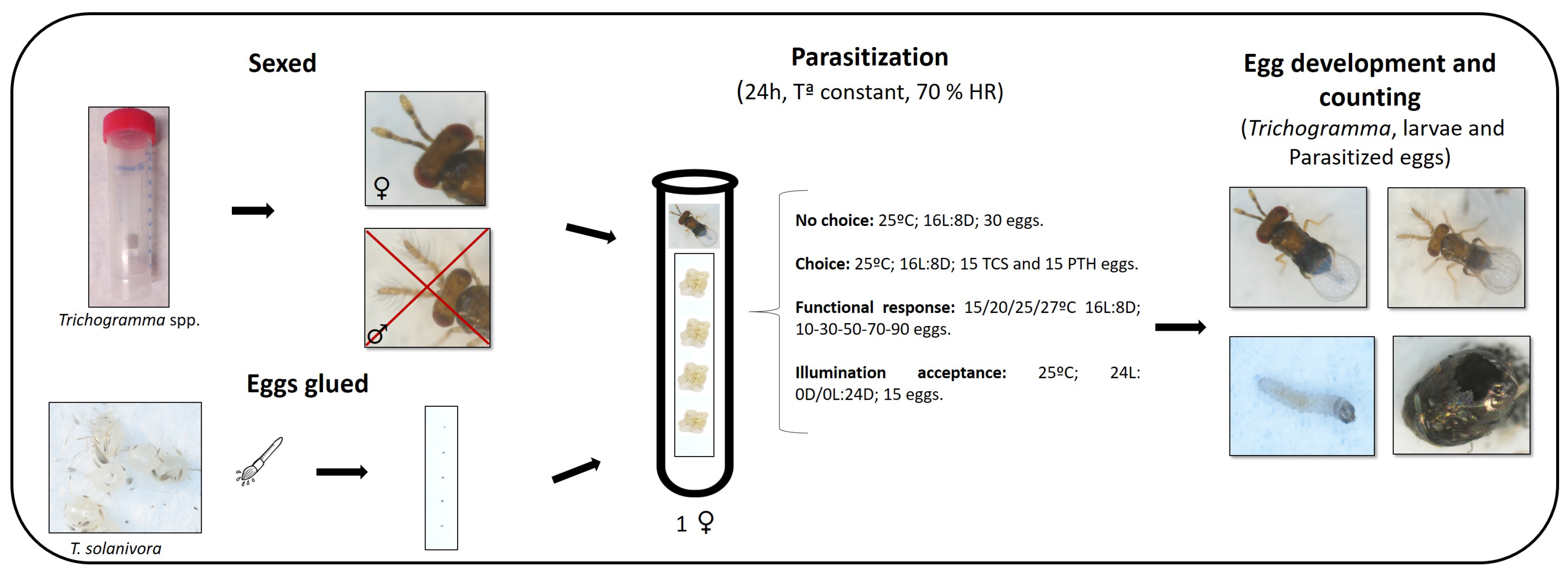 Insects 14 00679 g001
