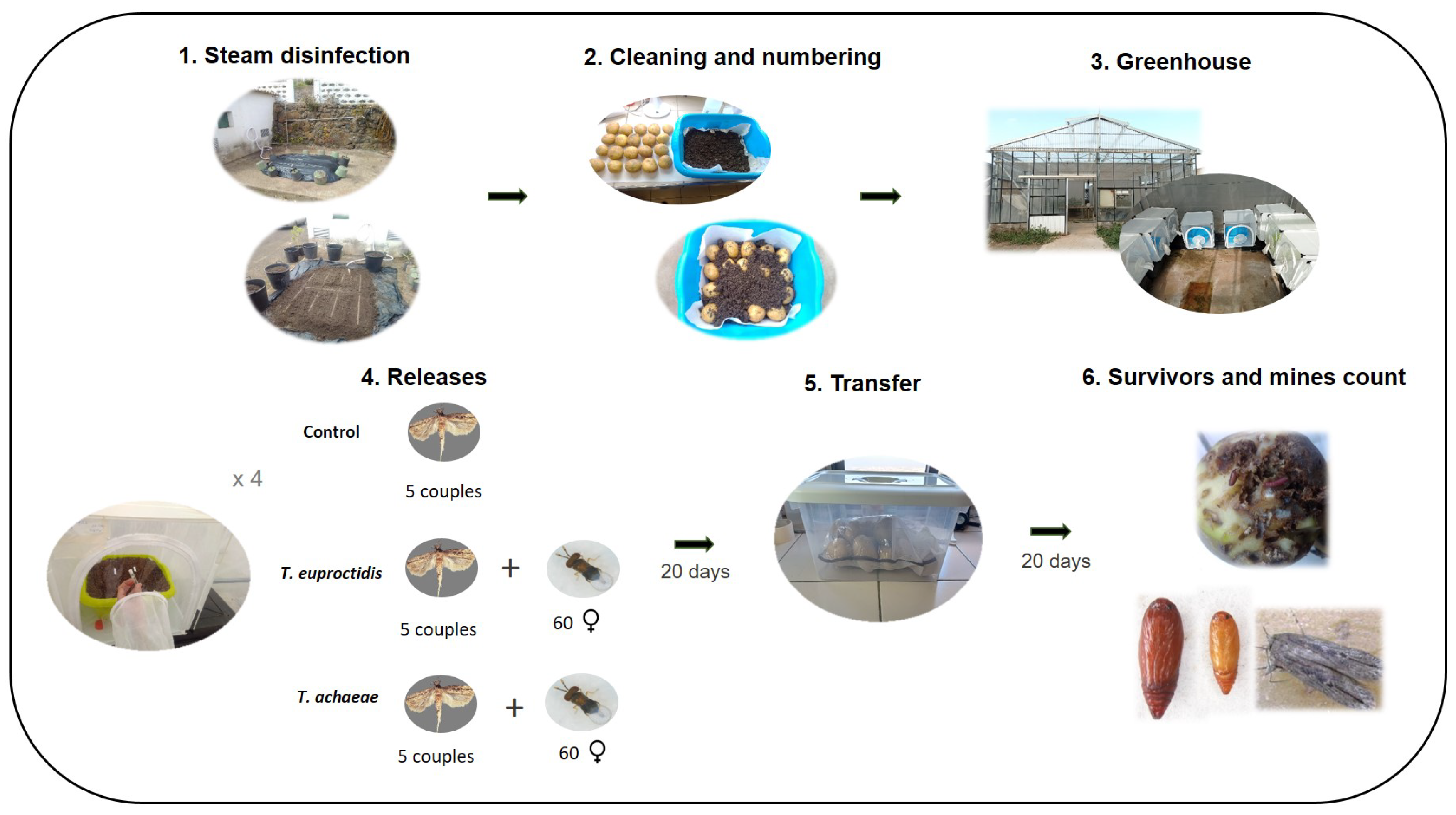 Insects 14 00679 g002