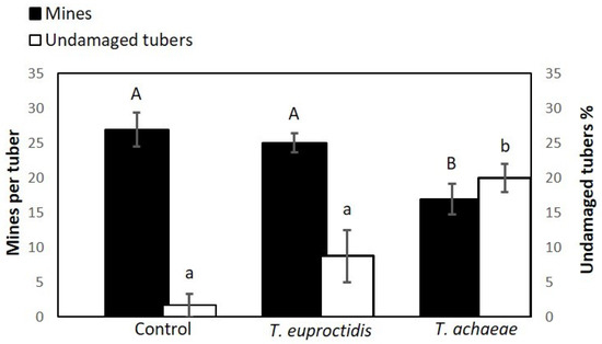 Insects 14 00679 g011