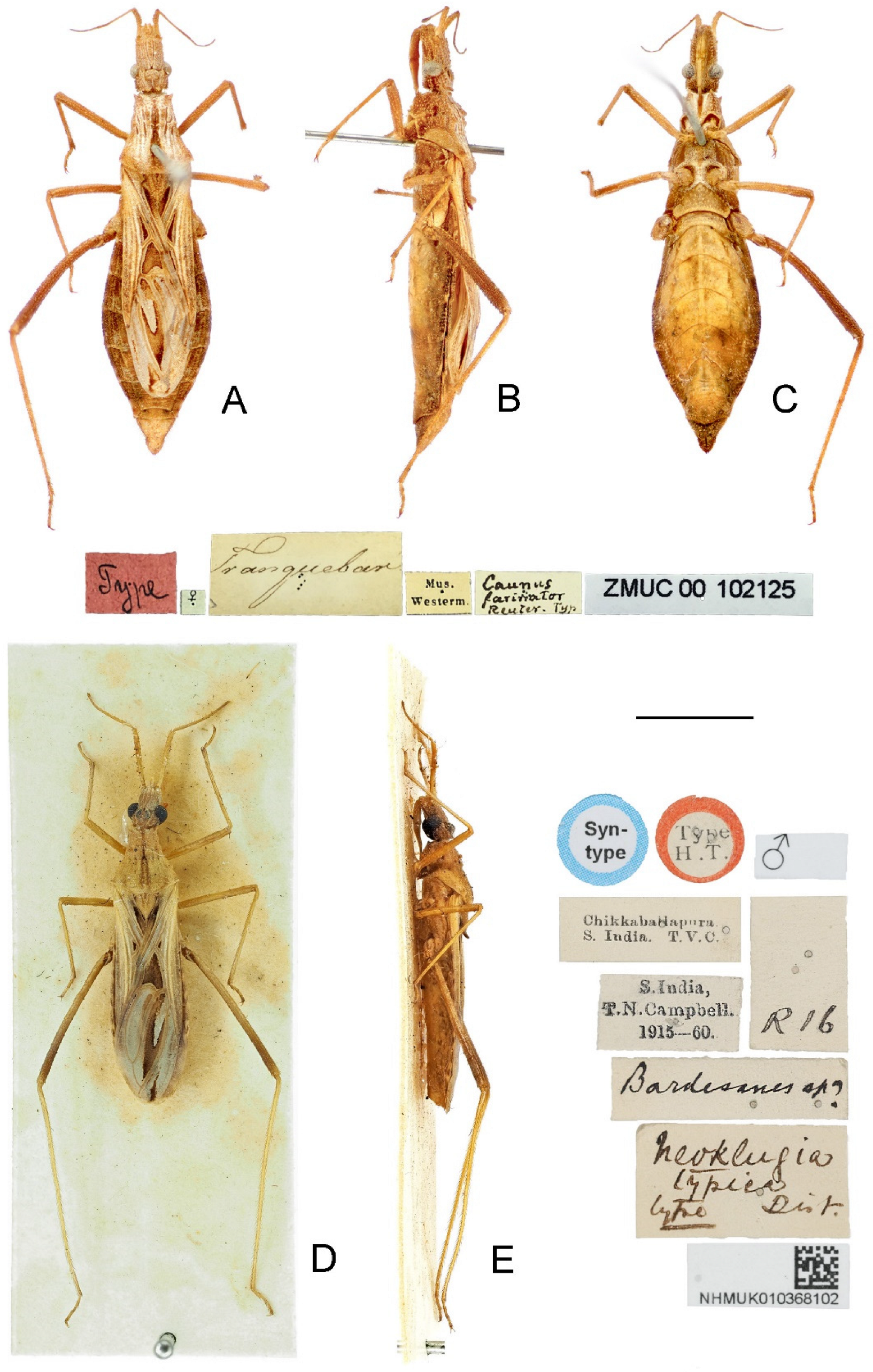 Insects 14 00680 g001