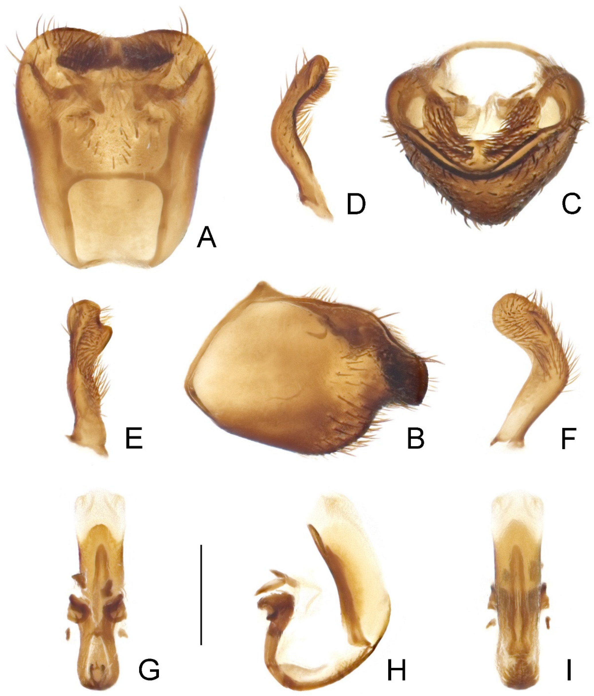 Insects 14 00680 g008