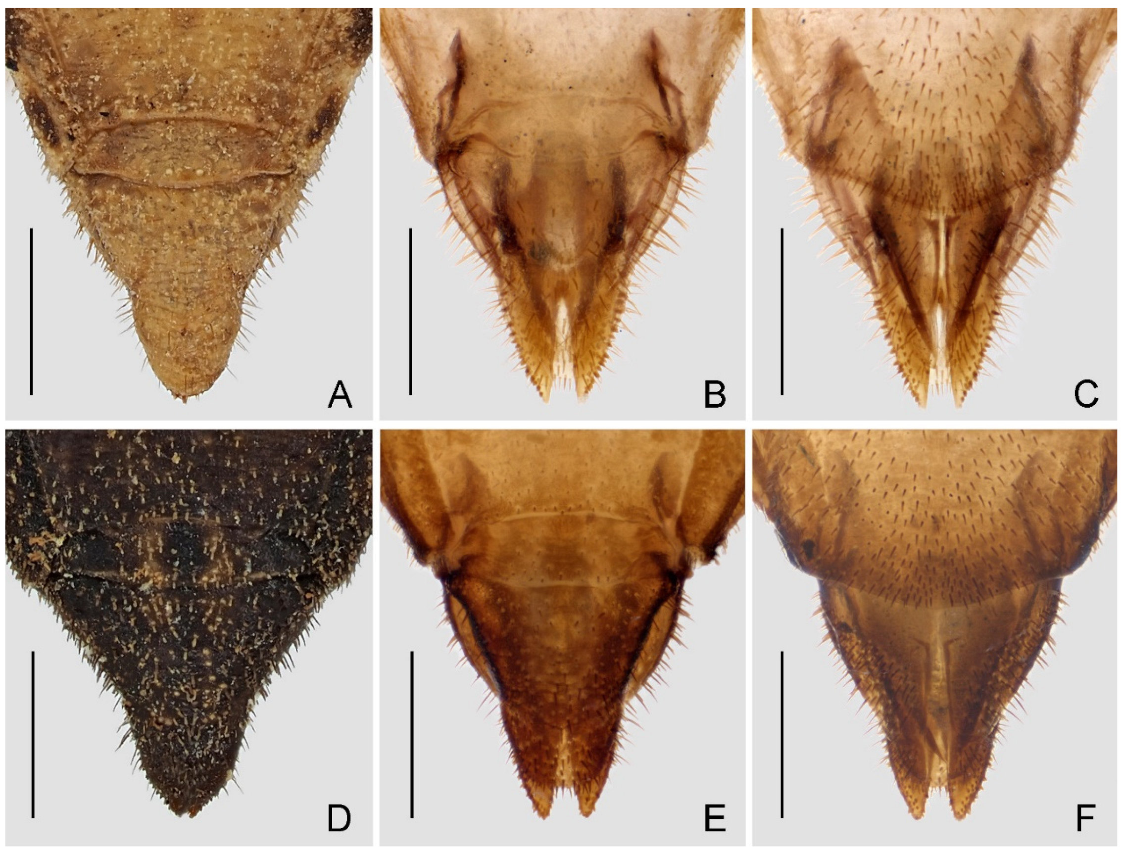 Insects 14 00680 g009