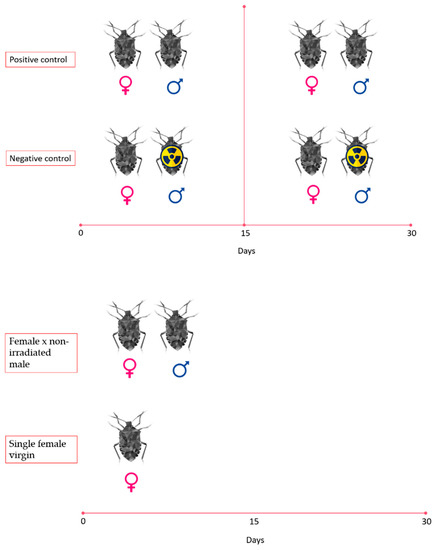 Insects 14 00681 g0a2