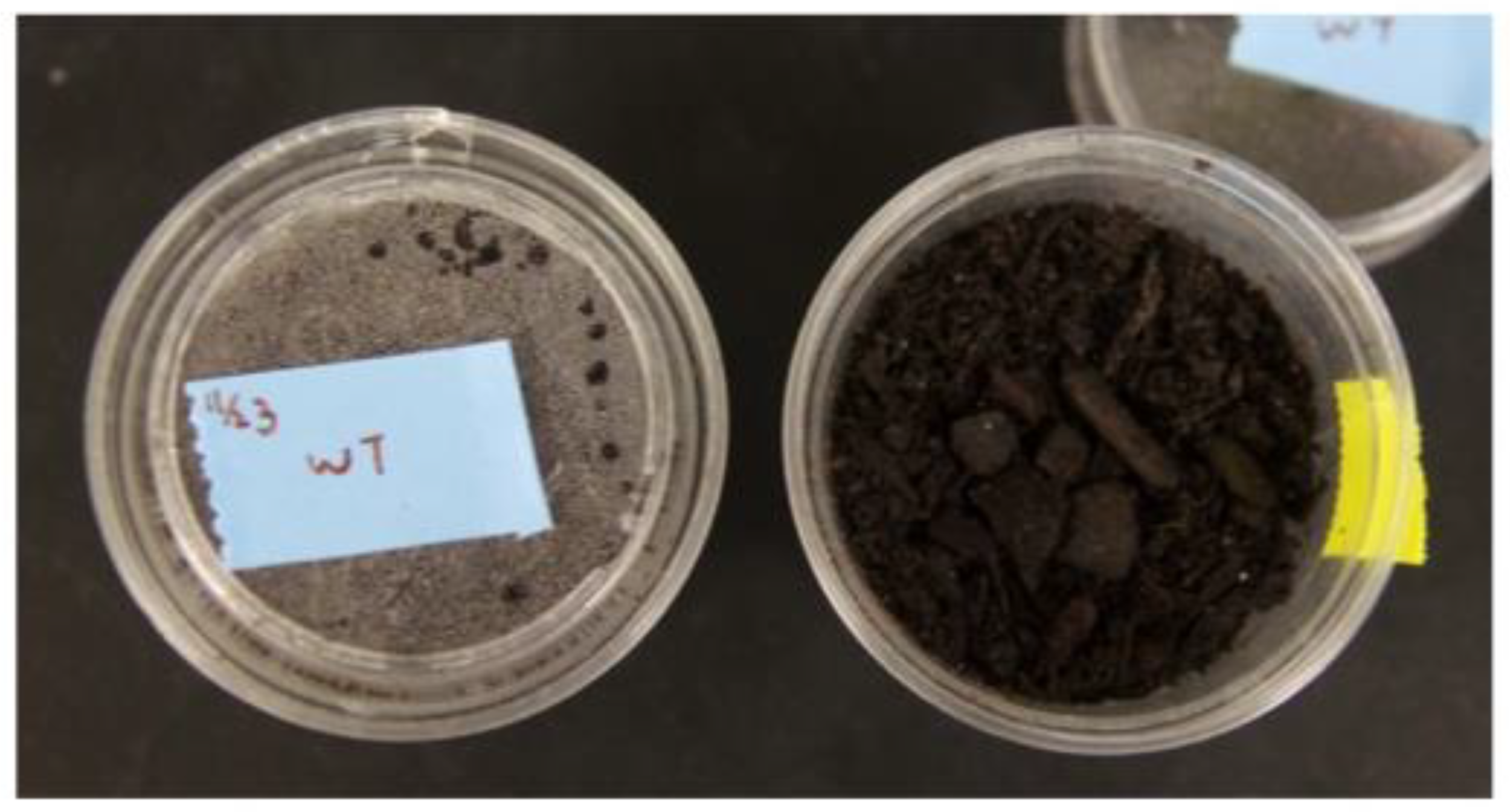 Insects 14 00683 g001