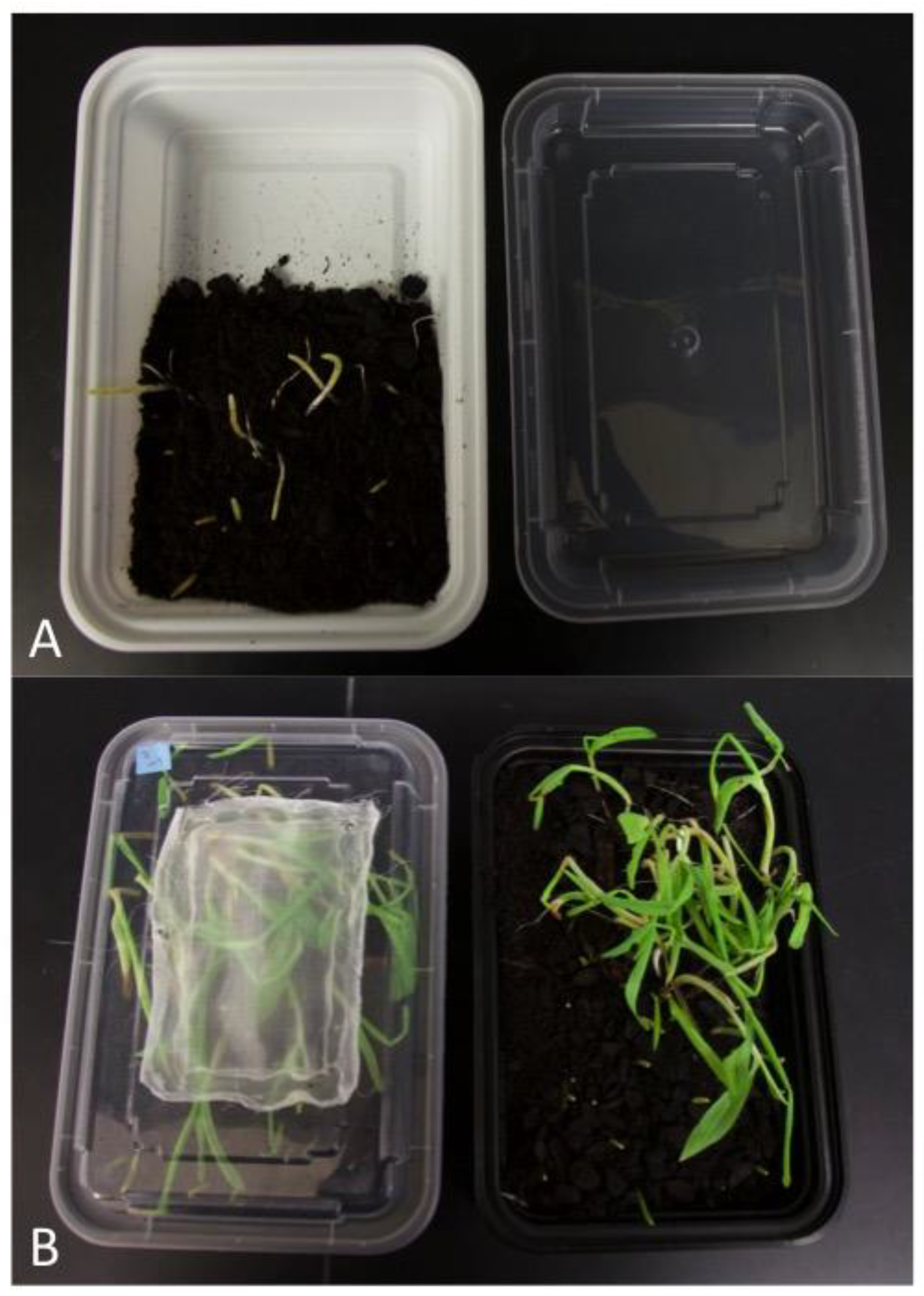 Insects 14 00683 g003