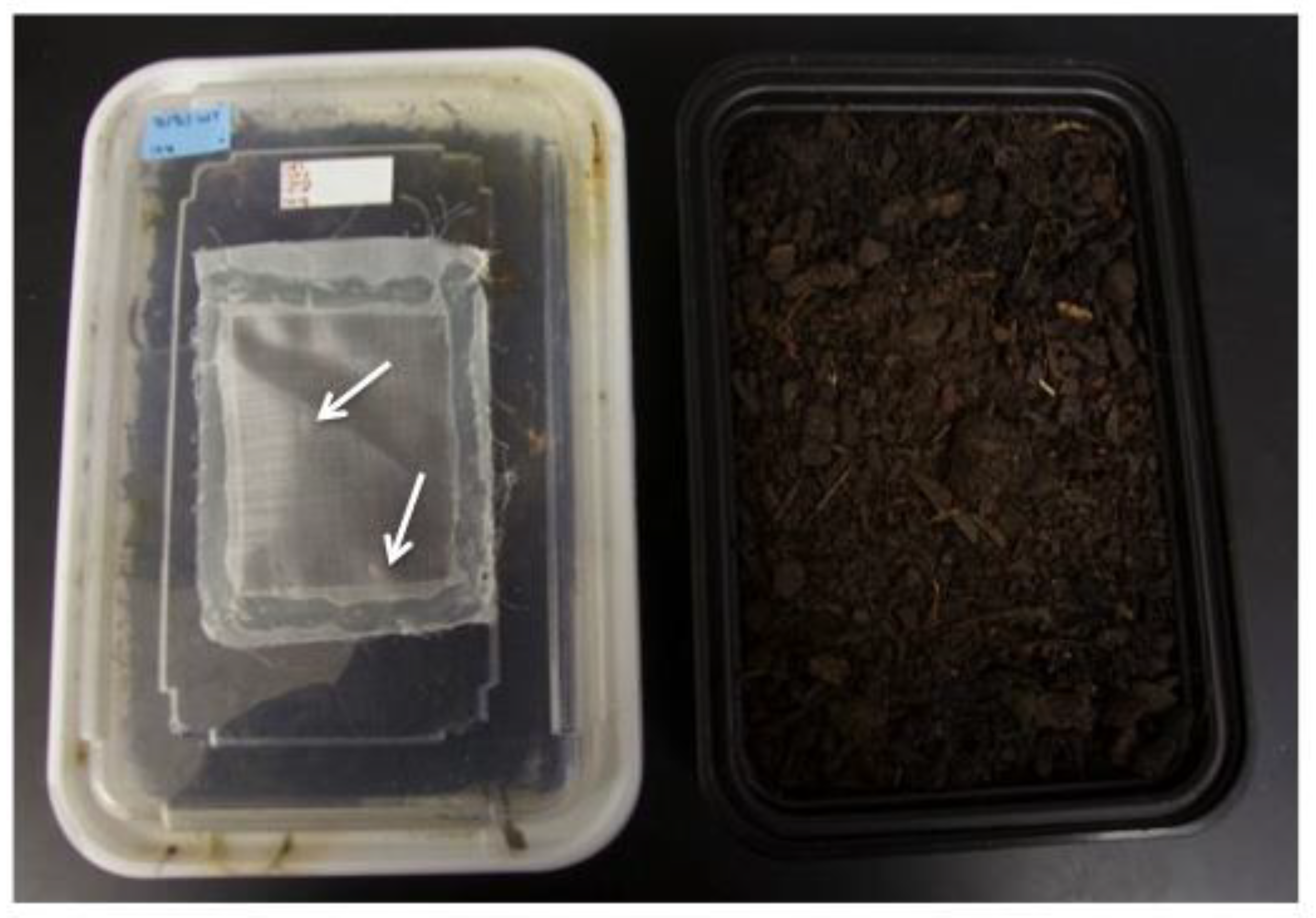 Insects 14 00683 g004