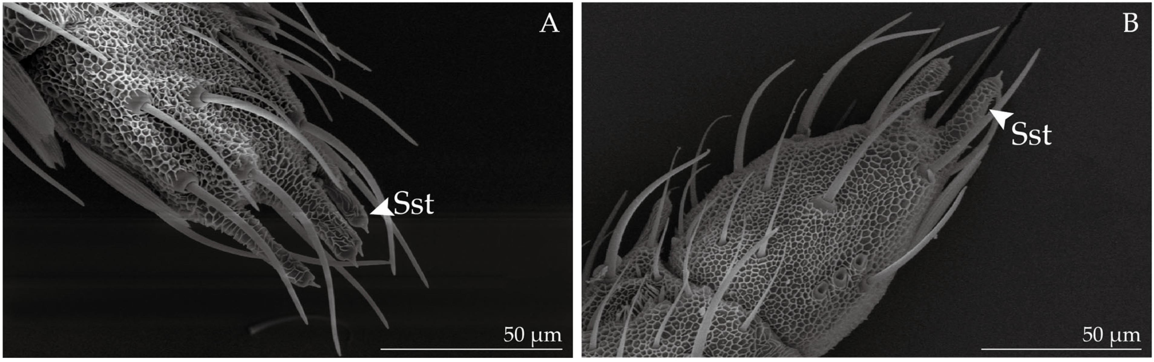 Insects 14 00687 g003