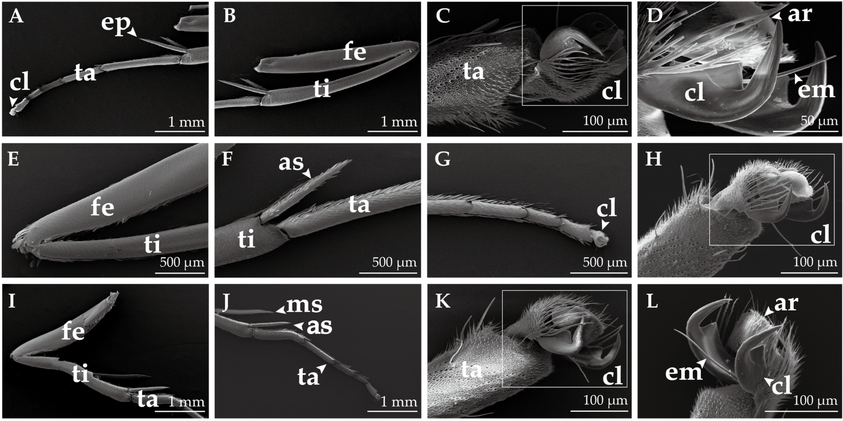 Insects 14 00687 g007