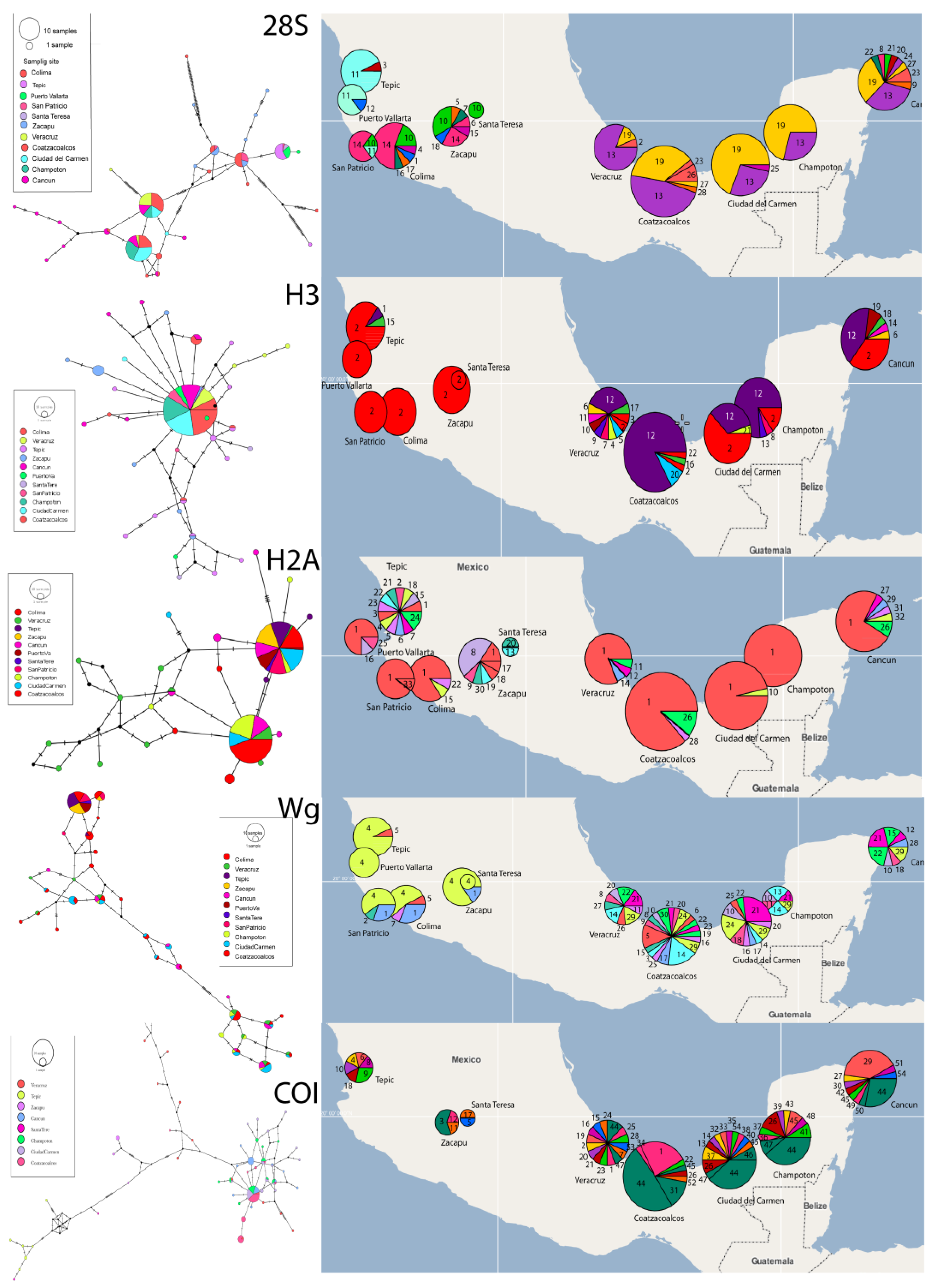 Insects 14 00704 g004 Insects 14 00704 g004