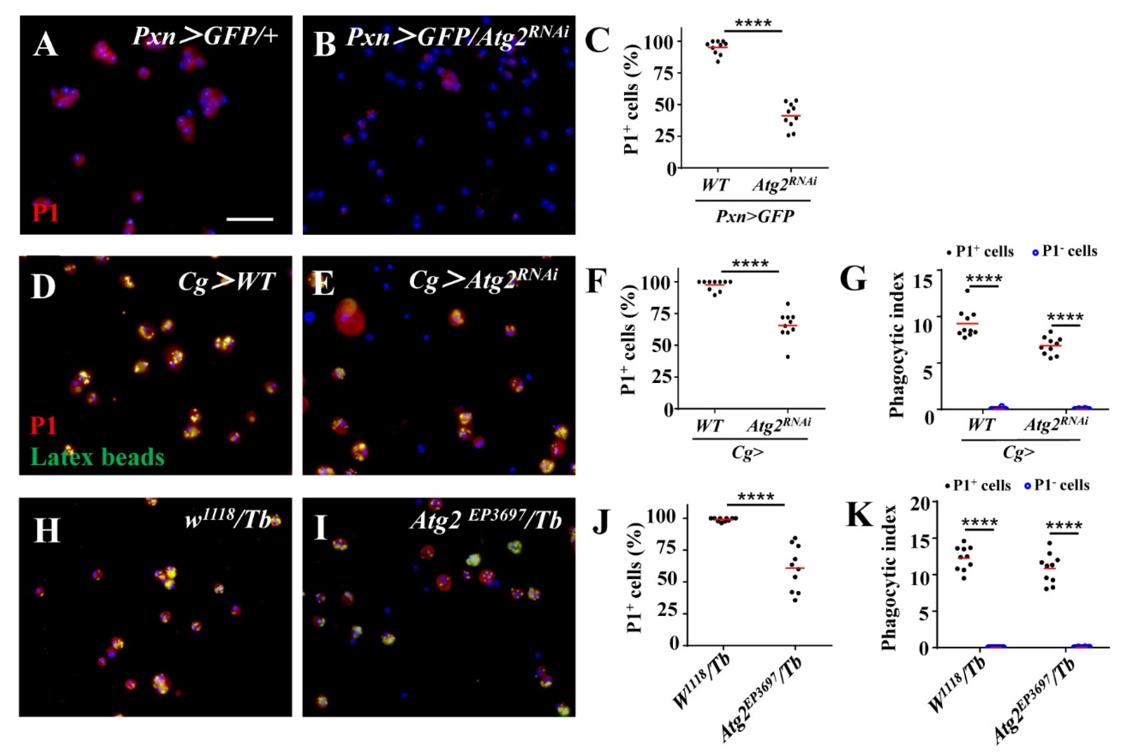 Insects 14 00706 g003