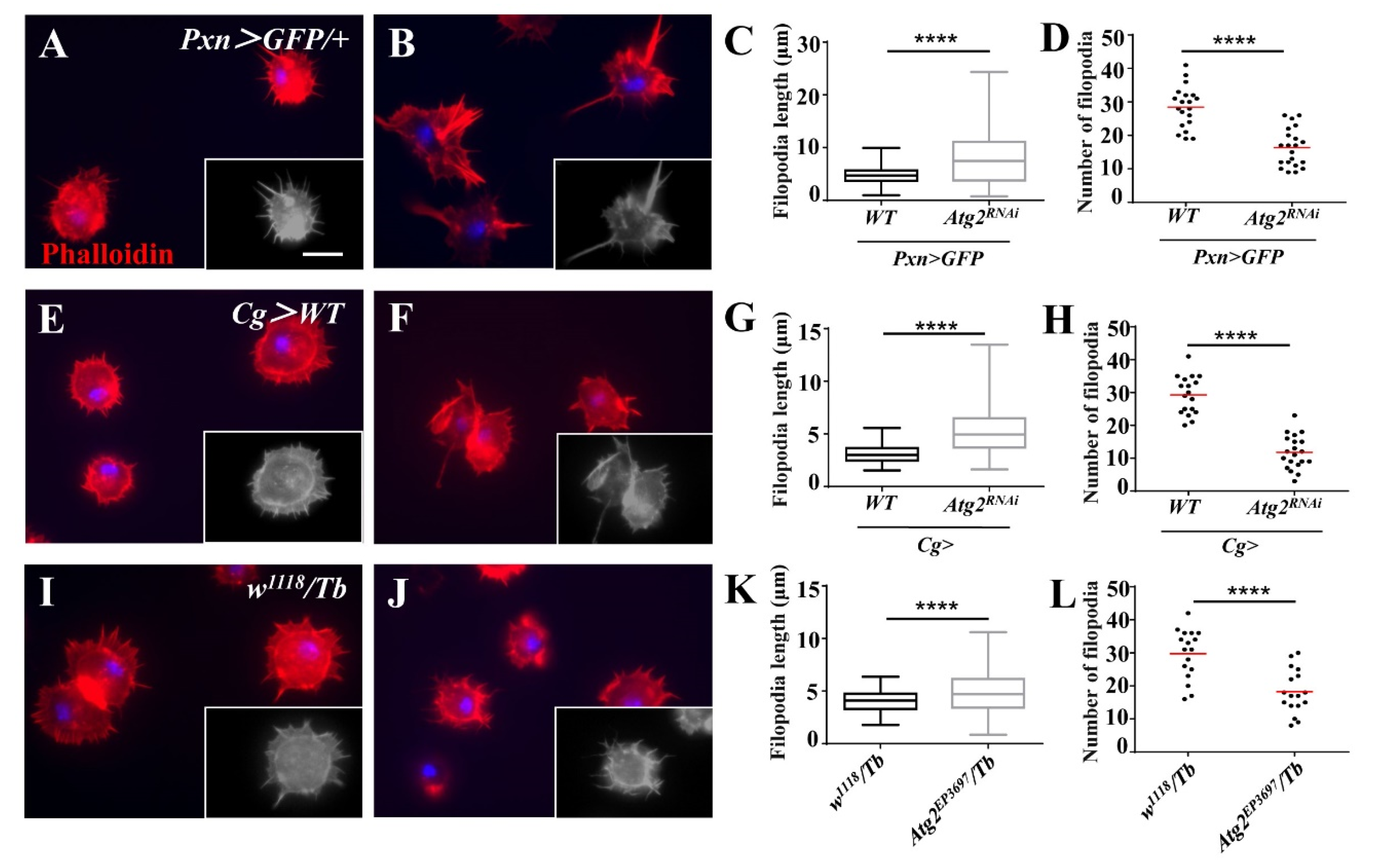 Insects 14 00706 g004