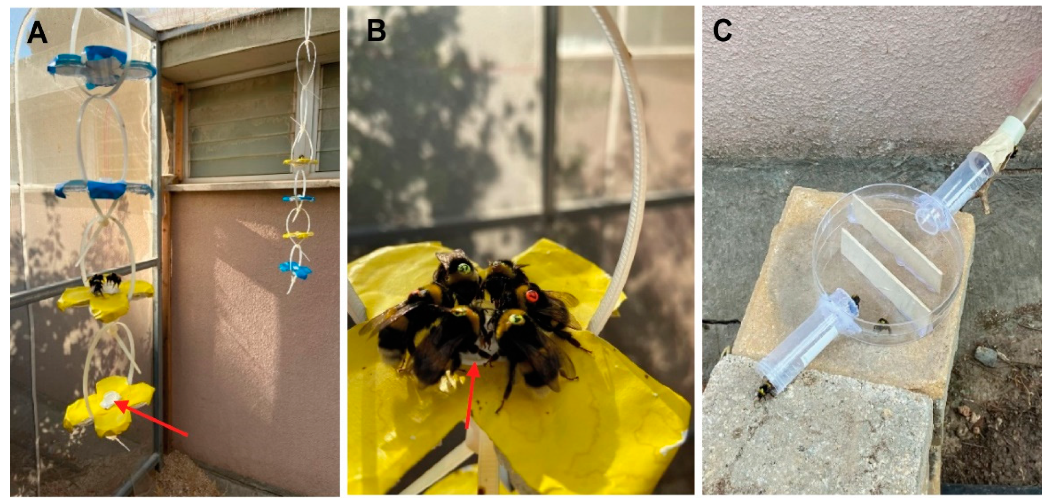 Insects 14 00707 g002