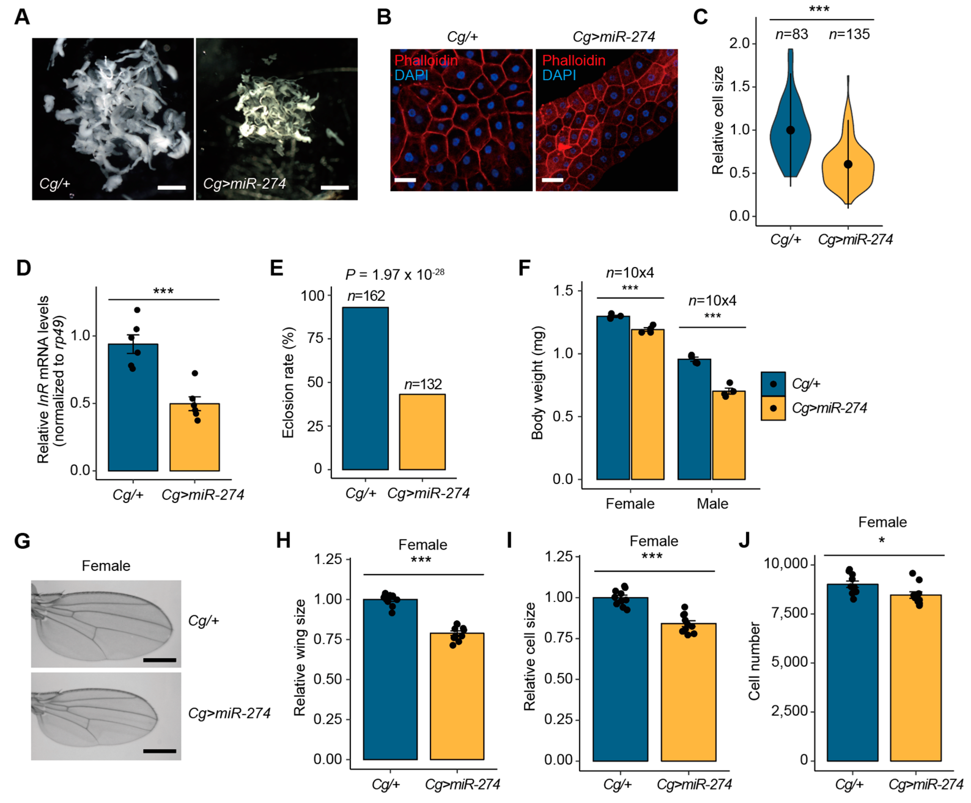 Insects 14 00709 g002