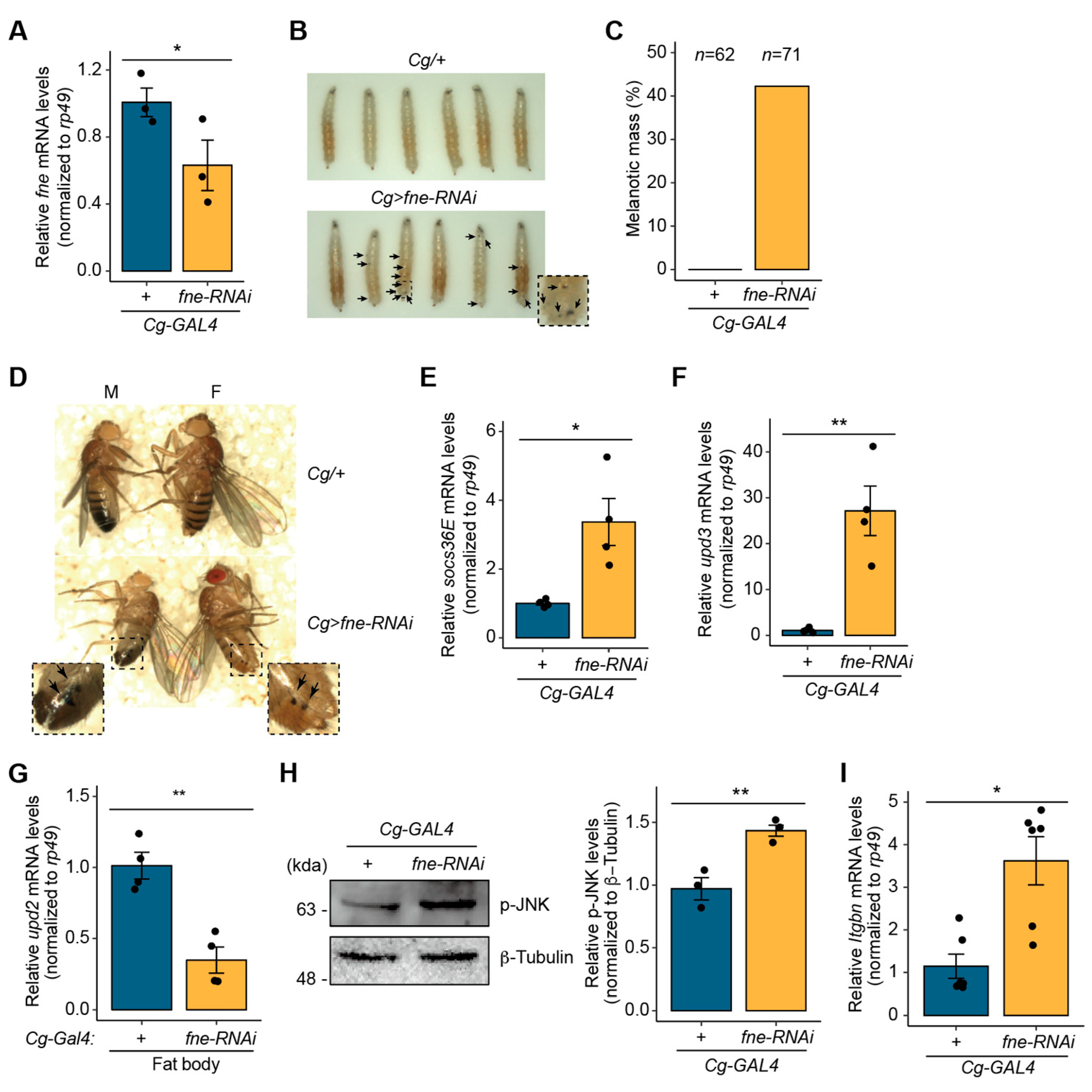 Insects 14 00709 g004
