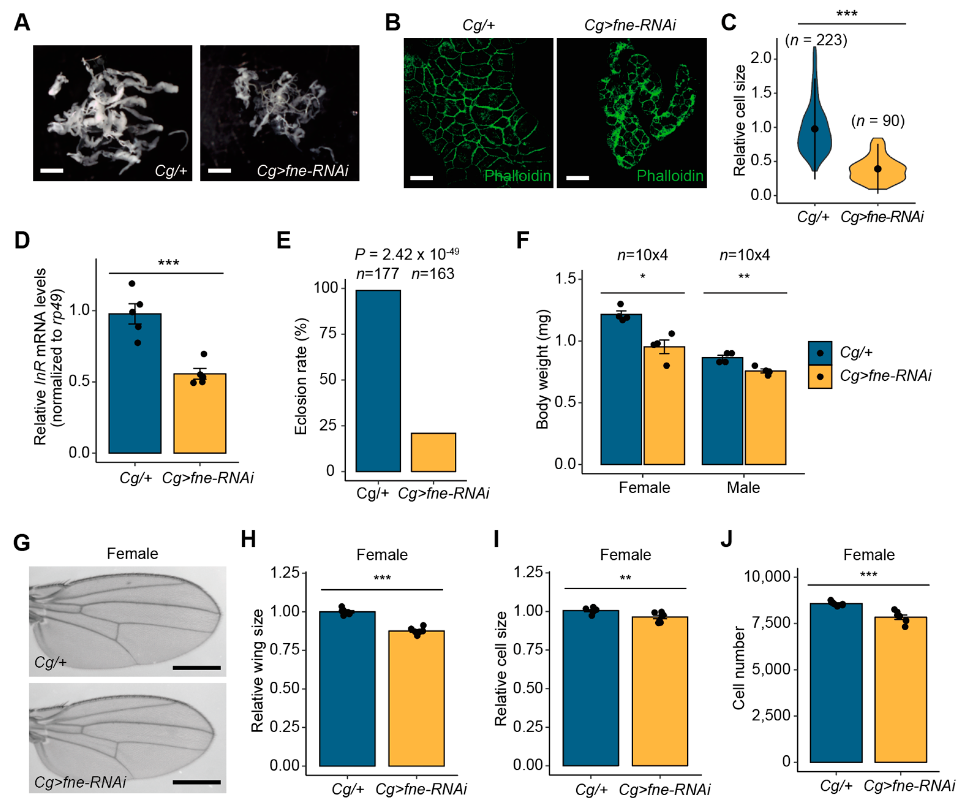 Insects 14 00709 g005