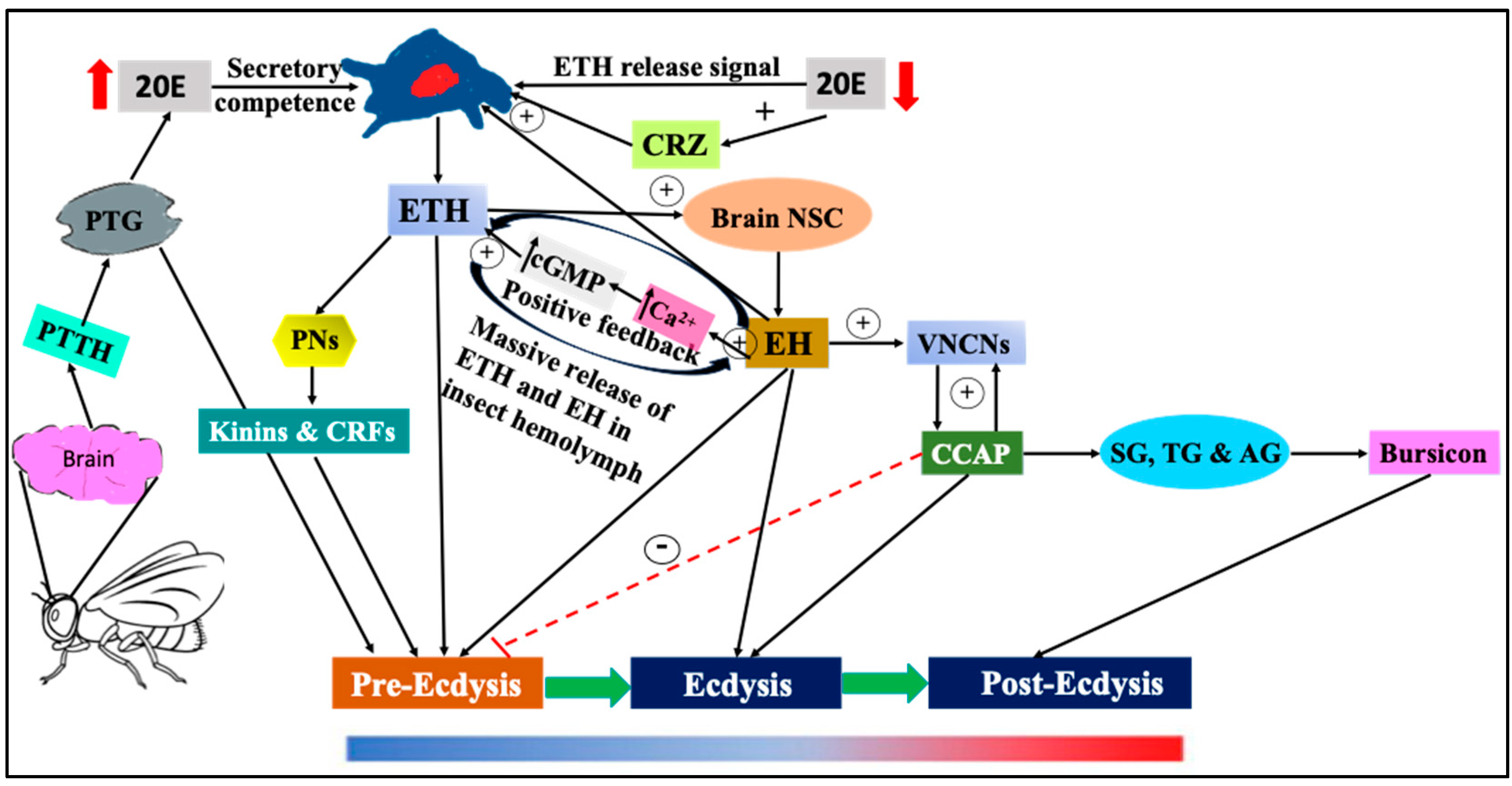 Insects 14 00711 g001