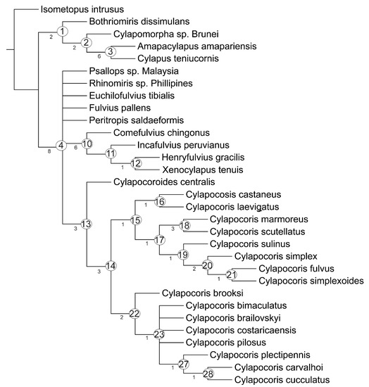 Insects 14 00721 g001
