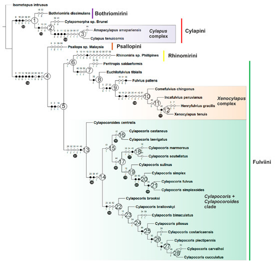 Insects 14 00721 g002