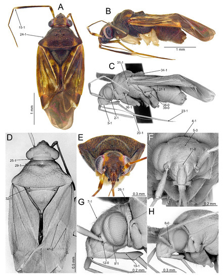 Insects 14 00721 g003