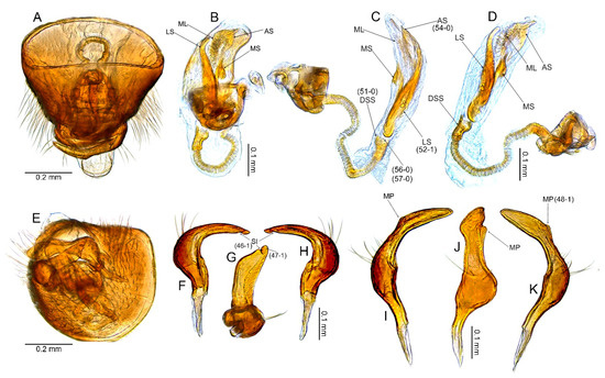 Insects 14 00721 g004