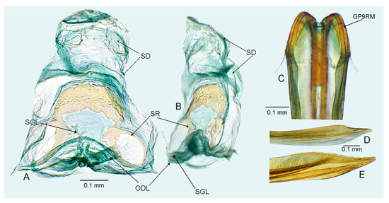 Insects 14 00721 g005