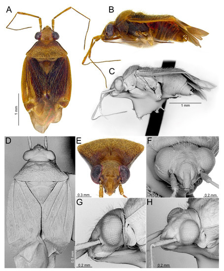 Insects 14 00721 g006