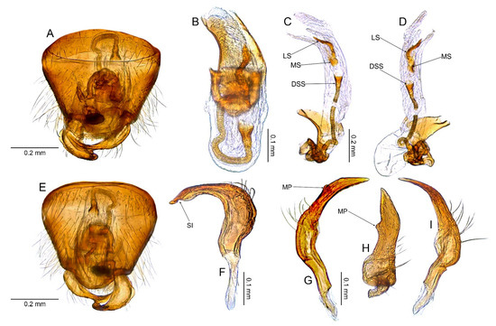 Insects 14 00721 g007