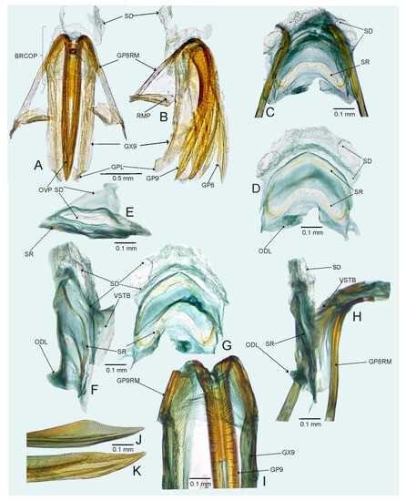 Insects 14 00721 g008