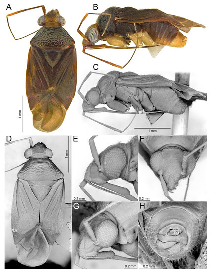 Insects 14 00721 g009