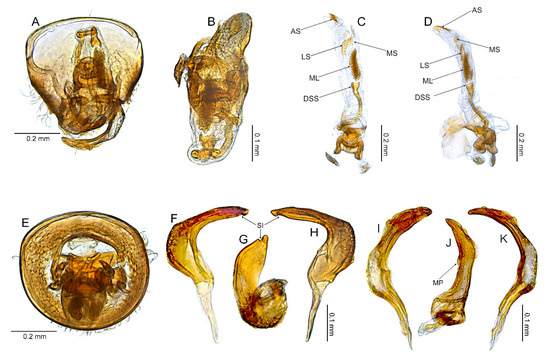 Insects 14 00721 g010