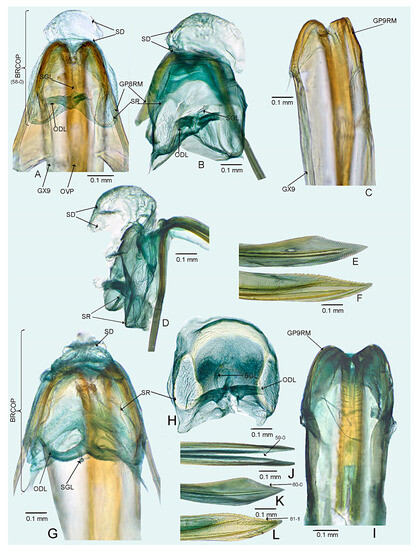 Insects 14 00721 g011